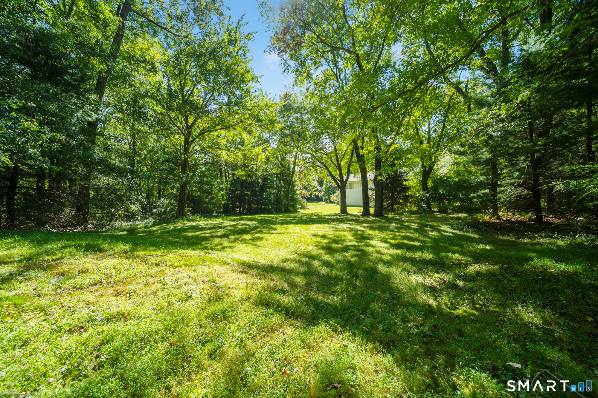 8 Wills Road photo 32