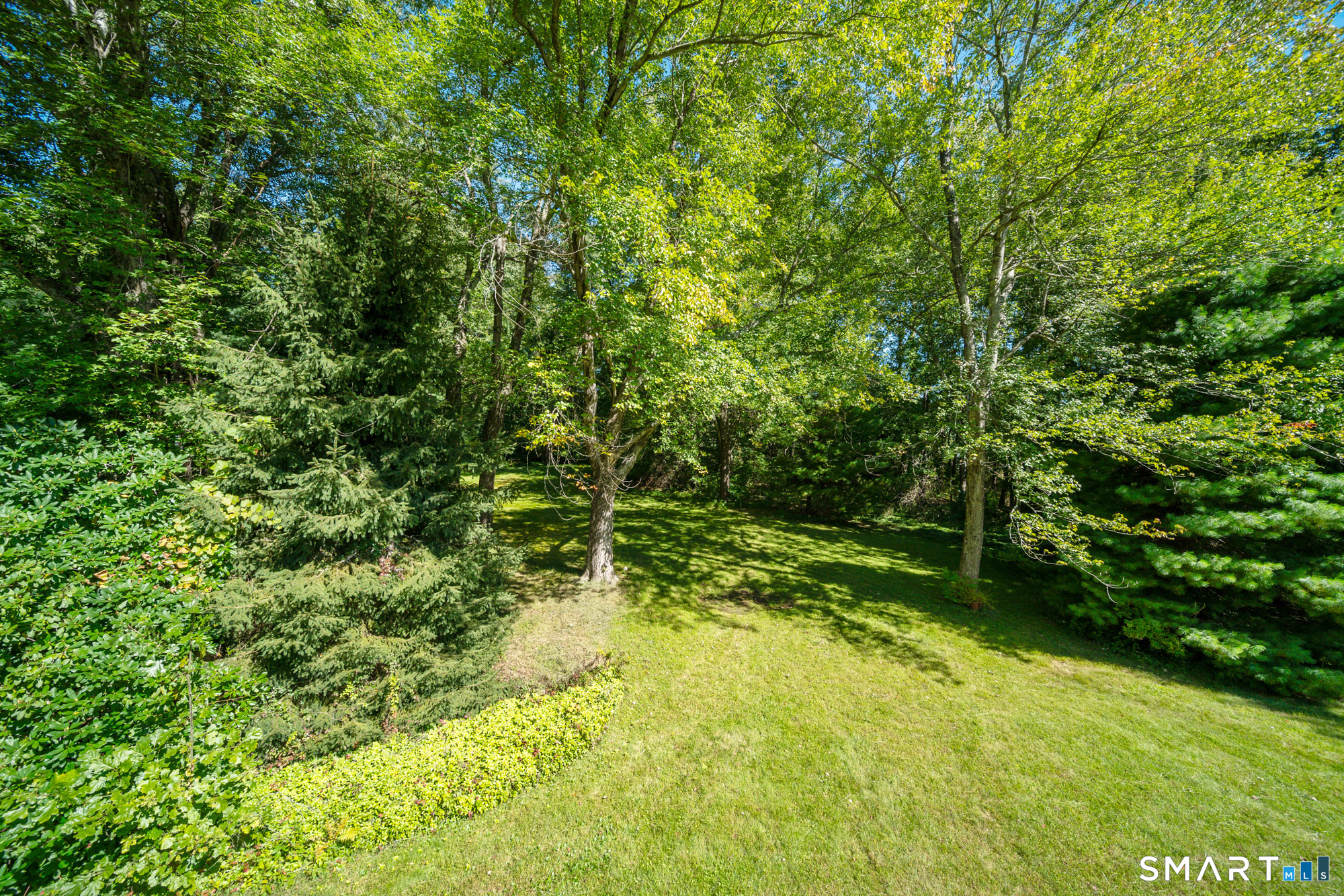 8 Wills Road photo 35