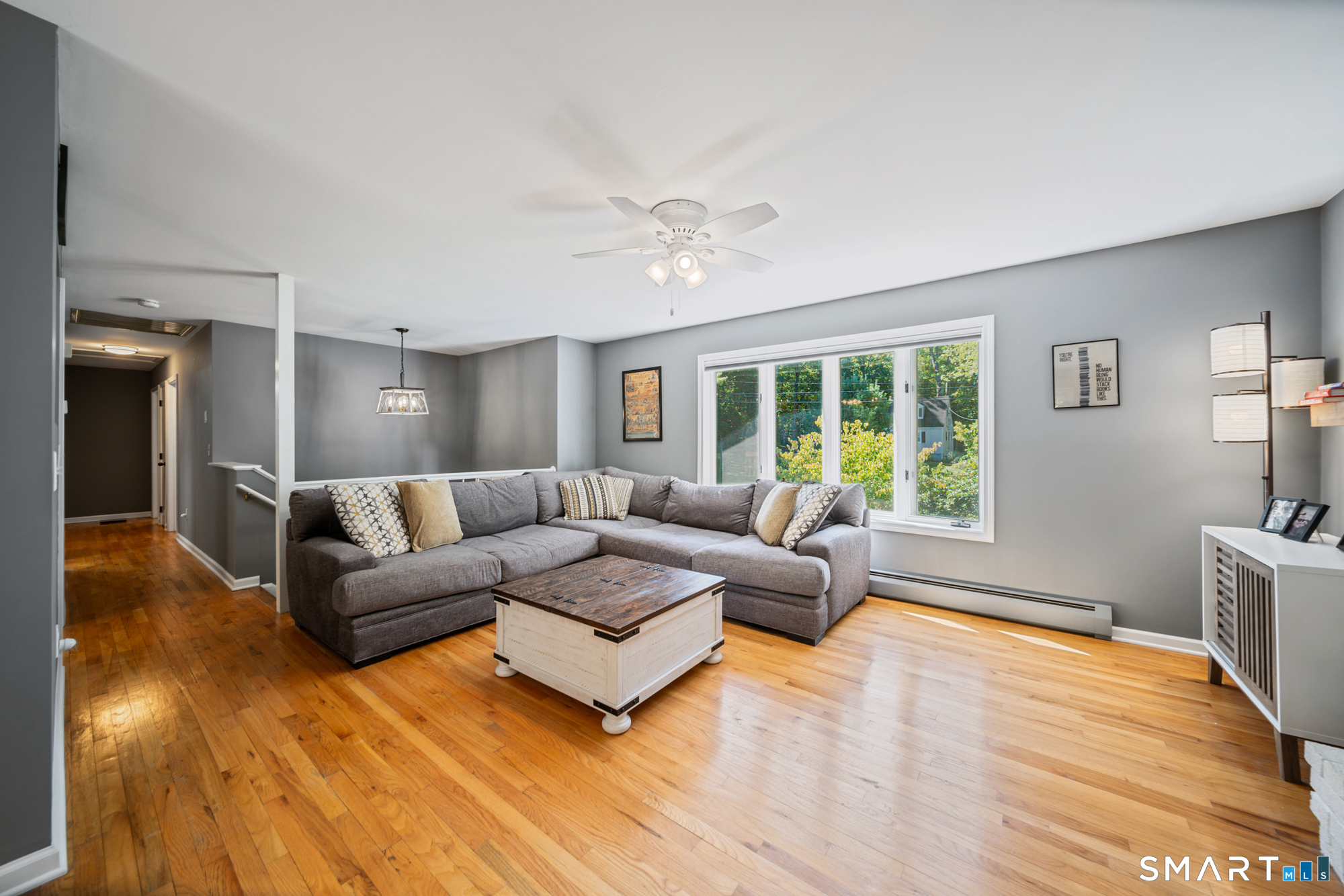 8 Wills Road photo 15