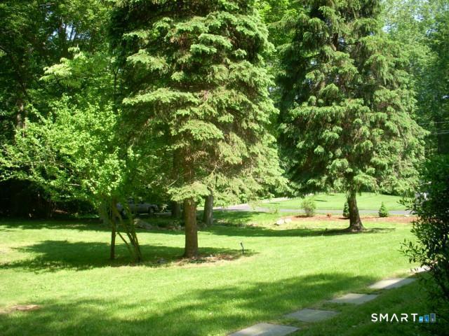 113 Dogwood Lane photo 30