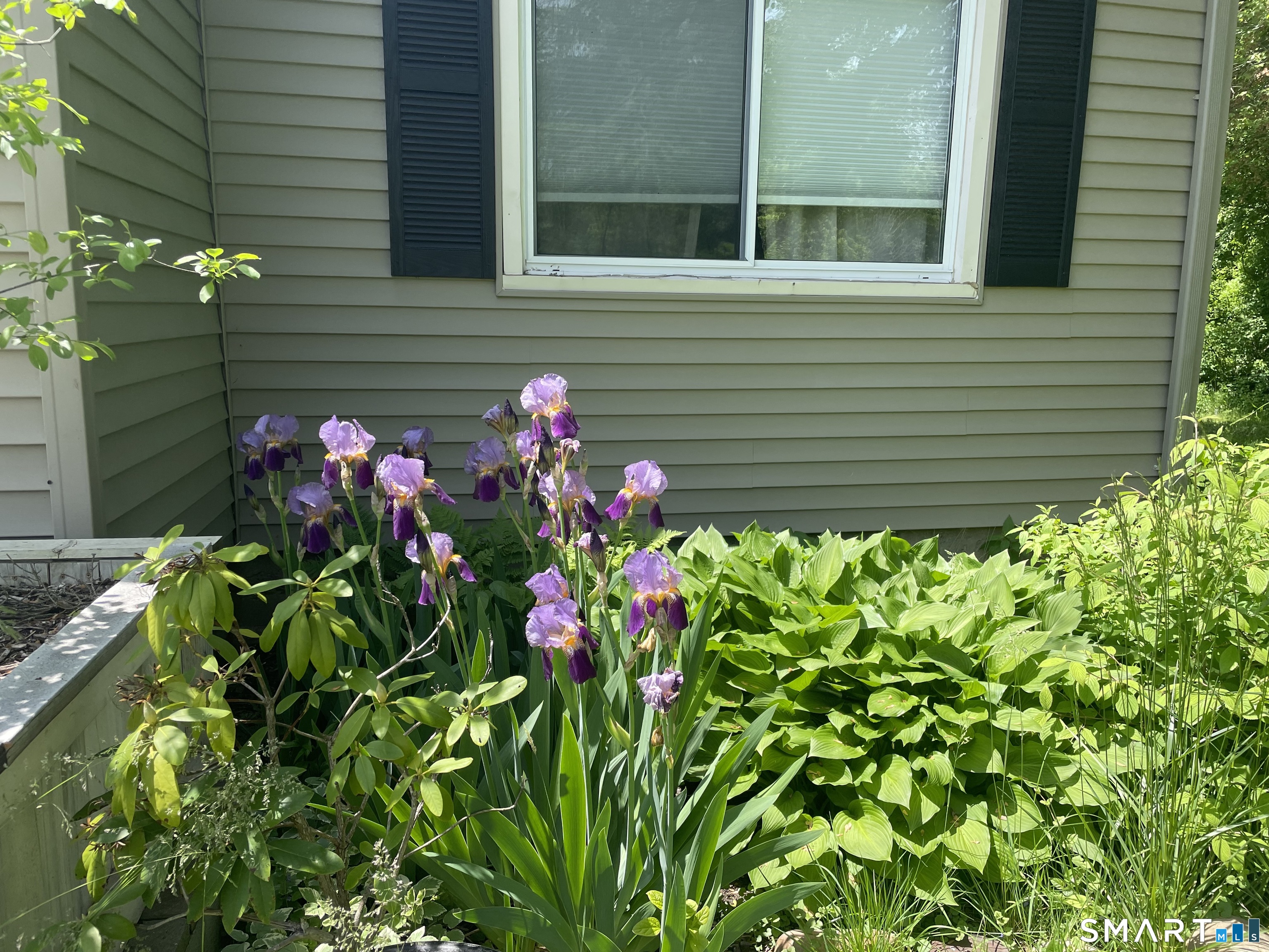 1347 Hall Boulevard photo 19