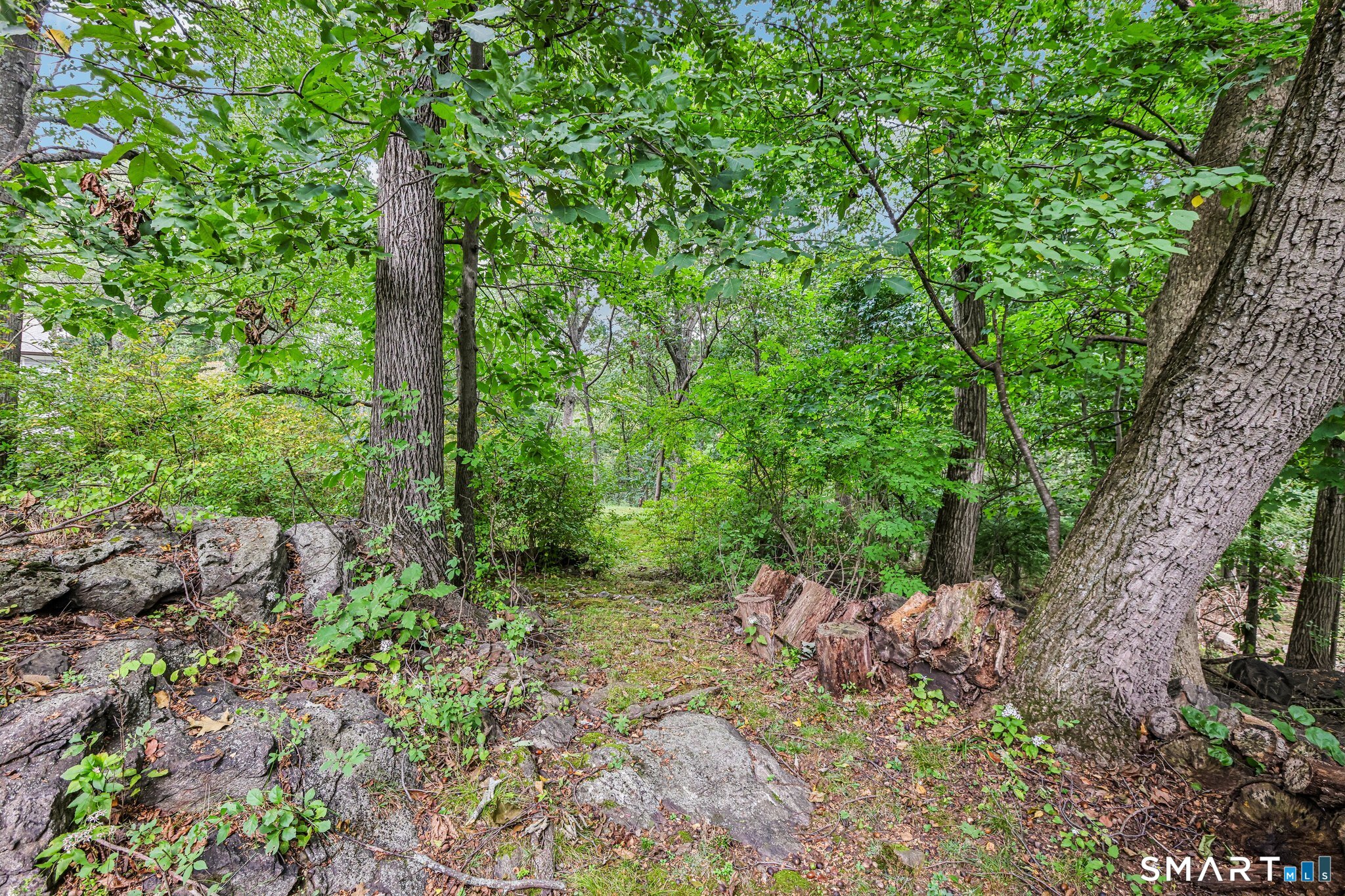 14 Chipping Lane photo 32
