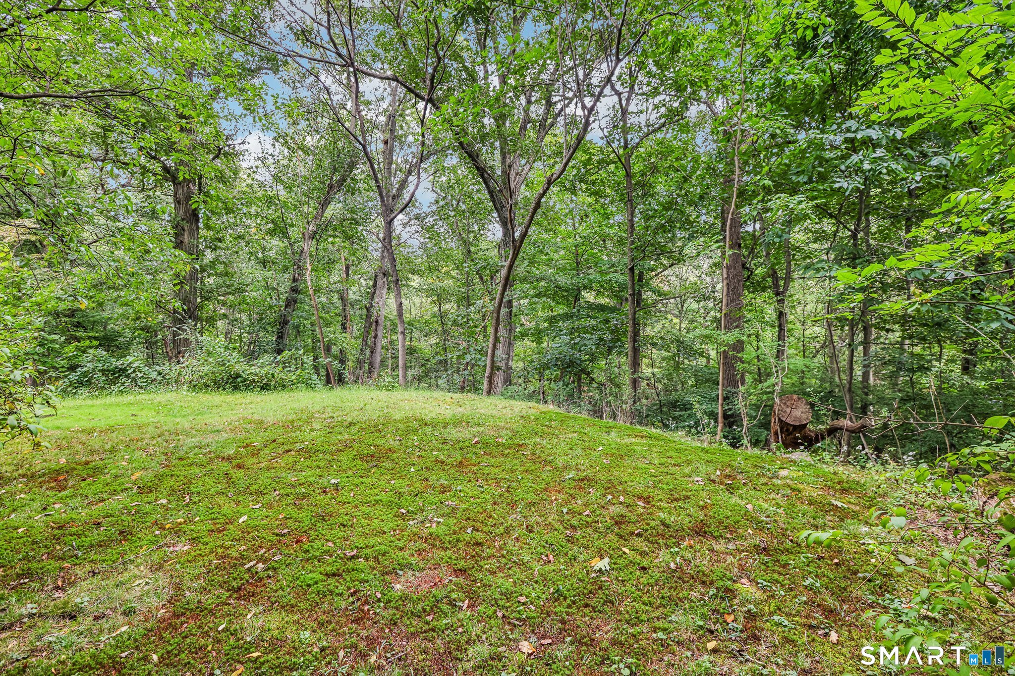 14 Chipping Lane photo 33