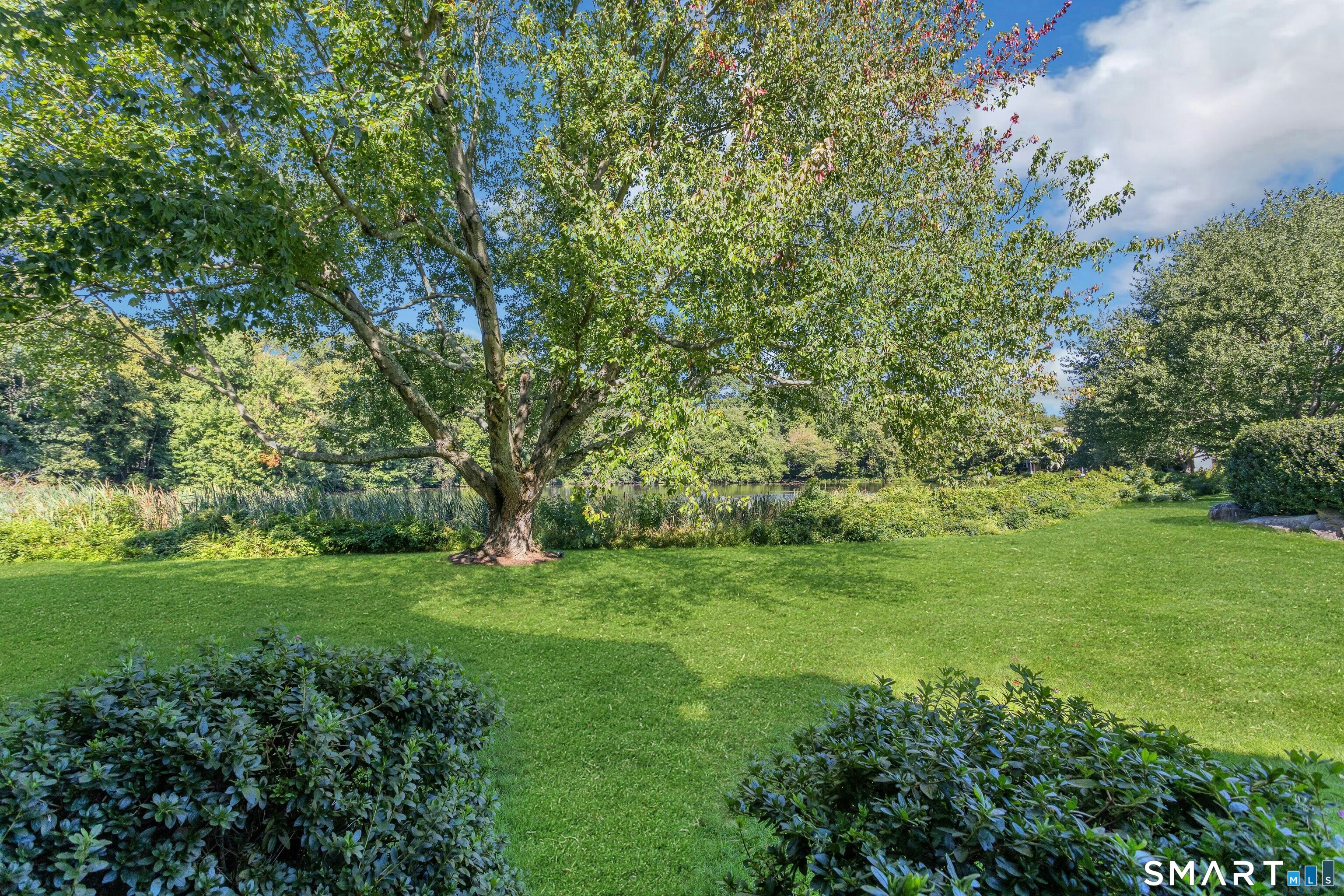 147 Rowayton Woods Drive Unit #147 photo 18