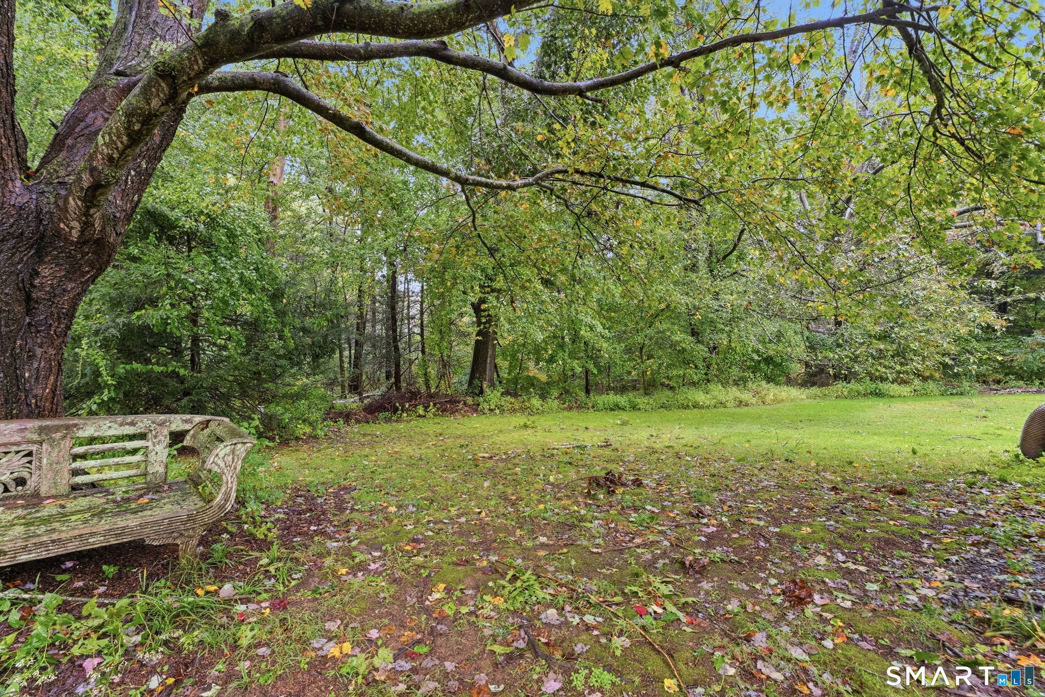 17 Cardinal Road photo 26