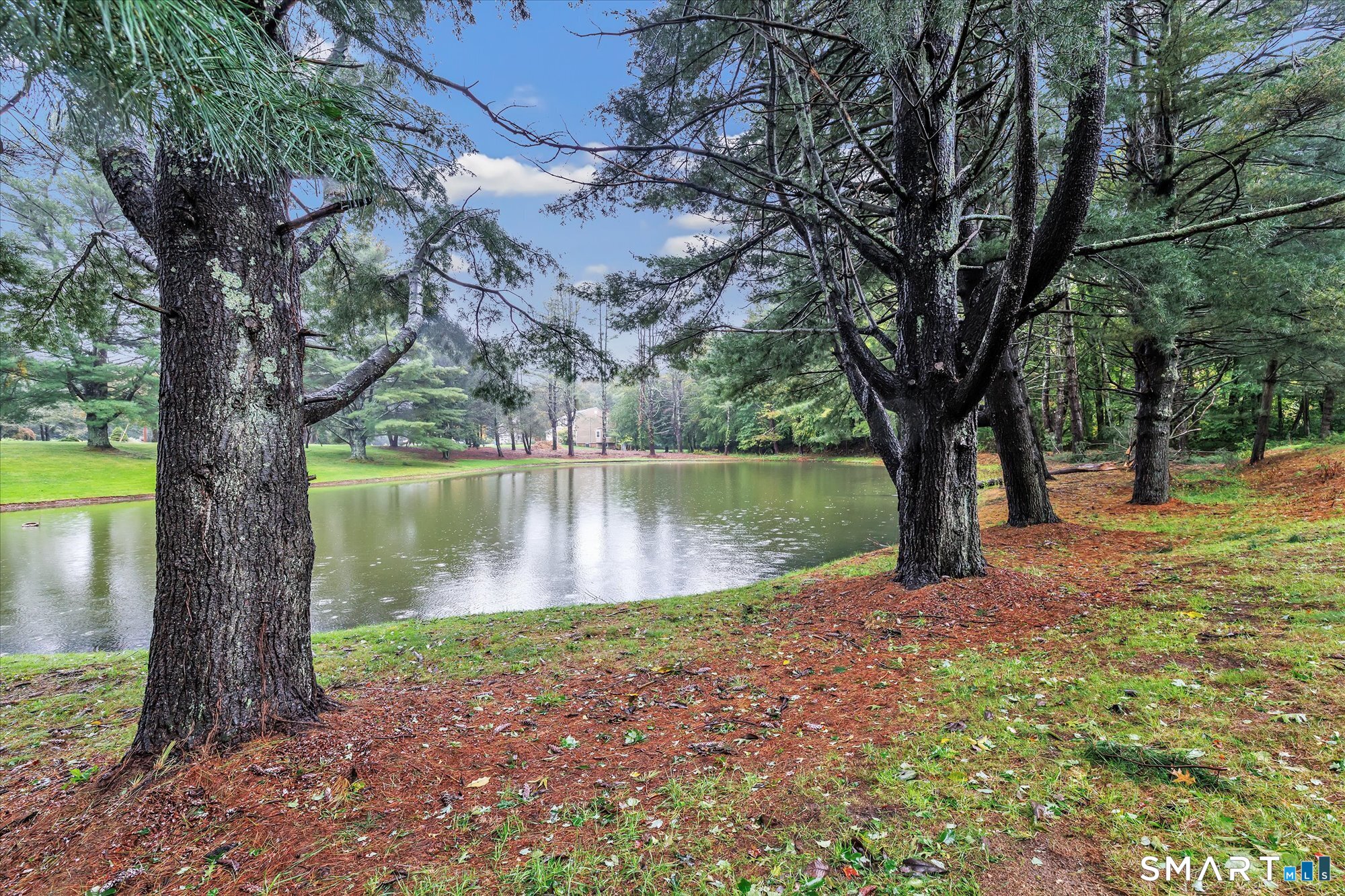 42 Wigwam Drive photo 40