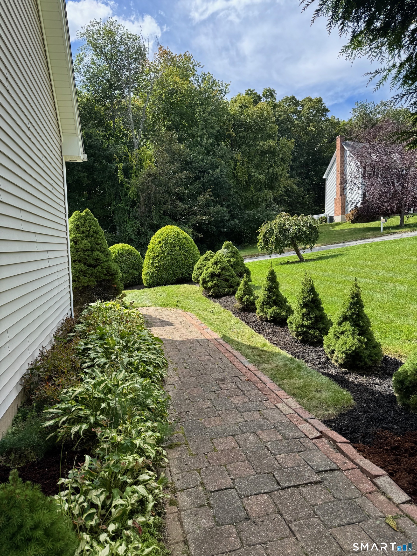 12 Tarragon Drive photo 37