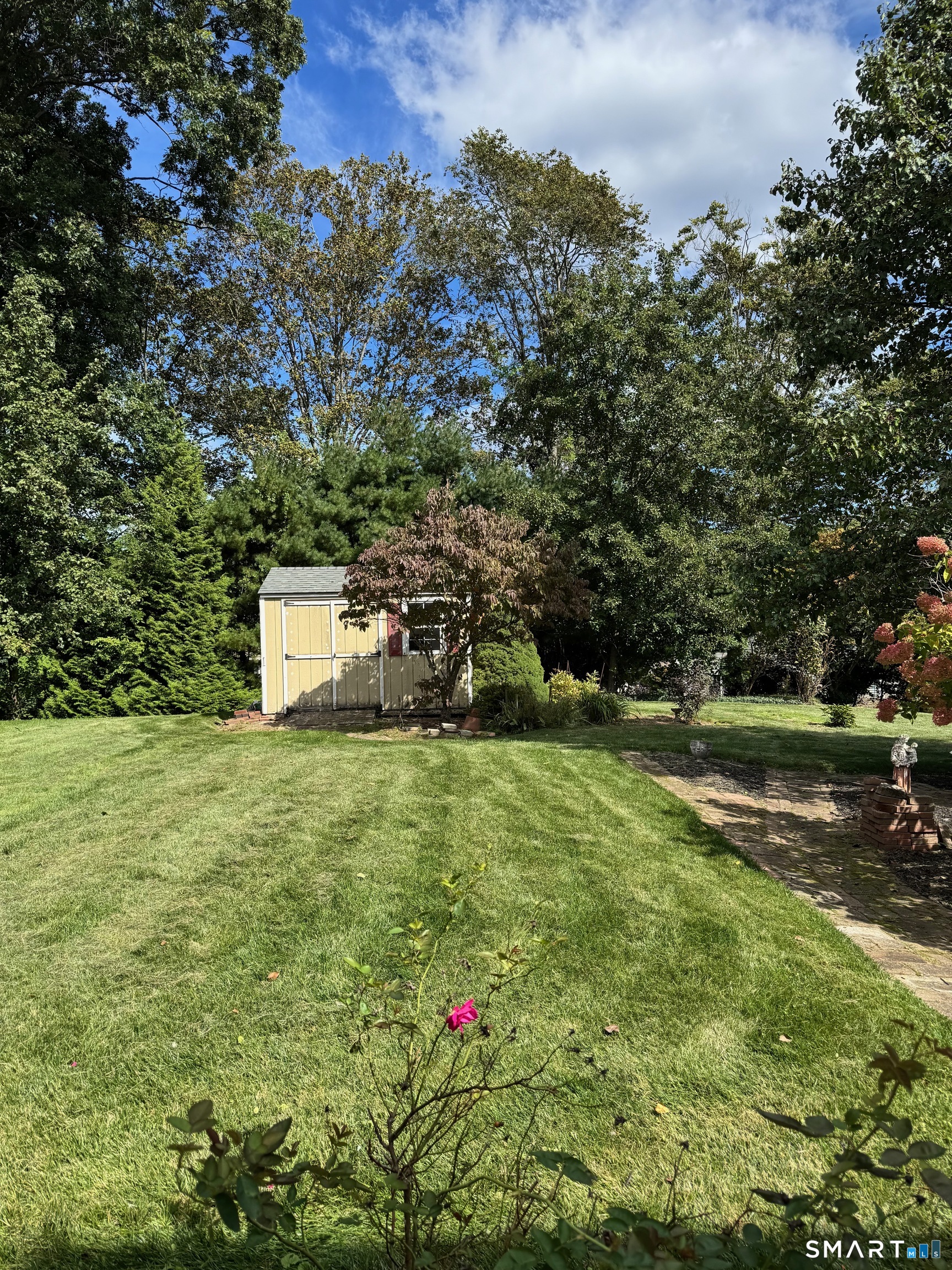 12 Tarragon Drive photo 35