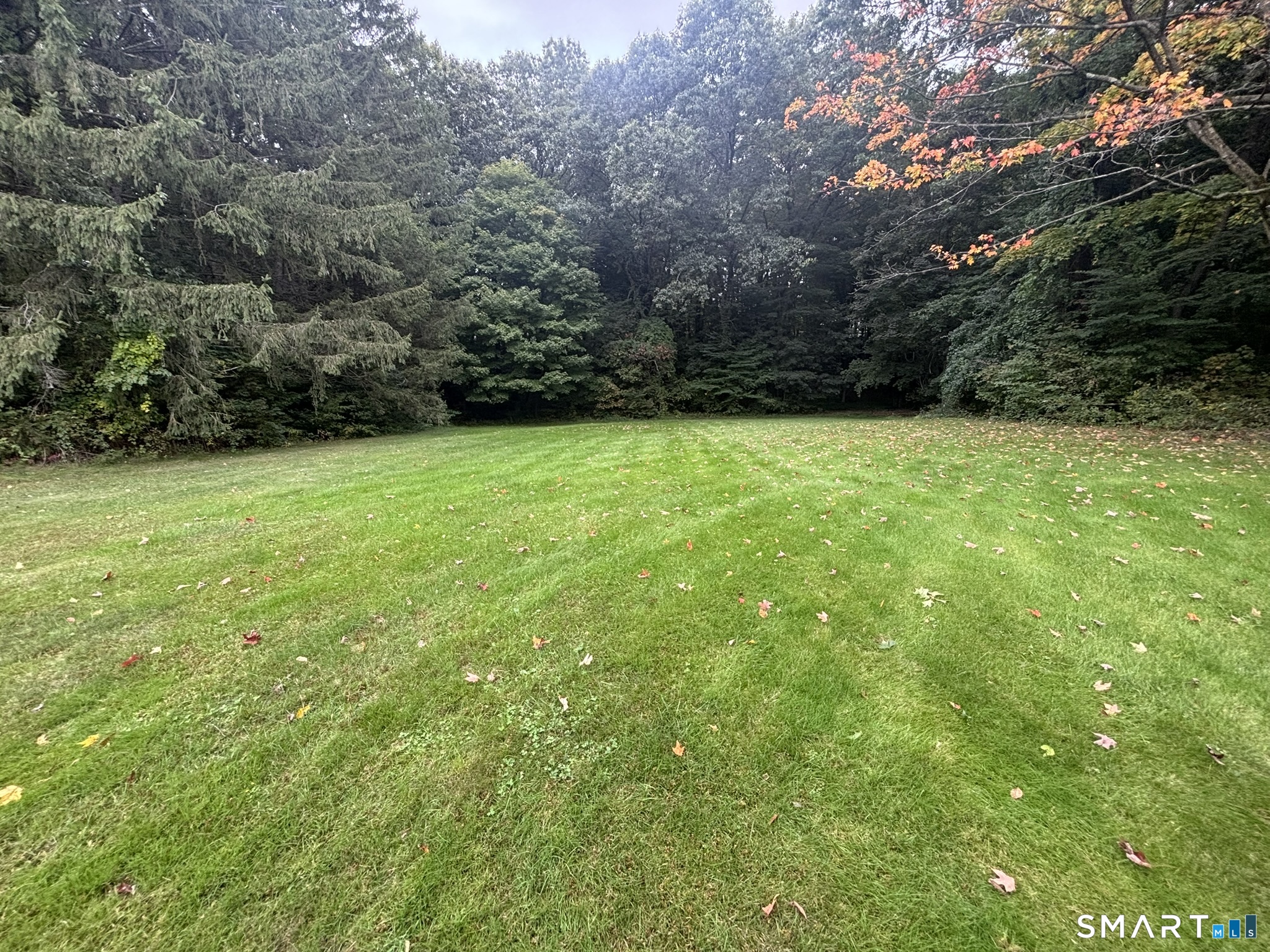 201 West Road photo 37
