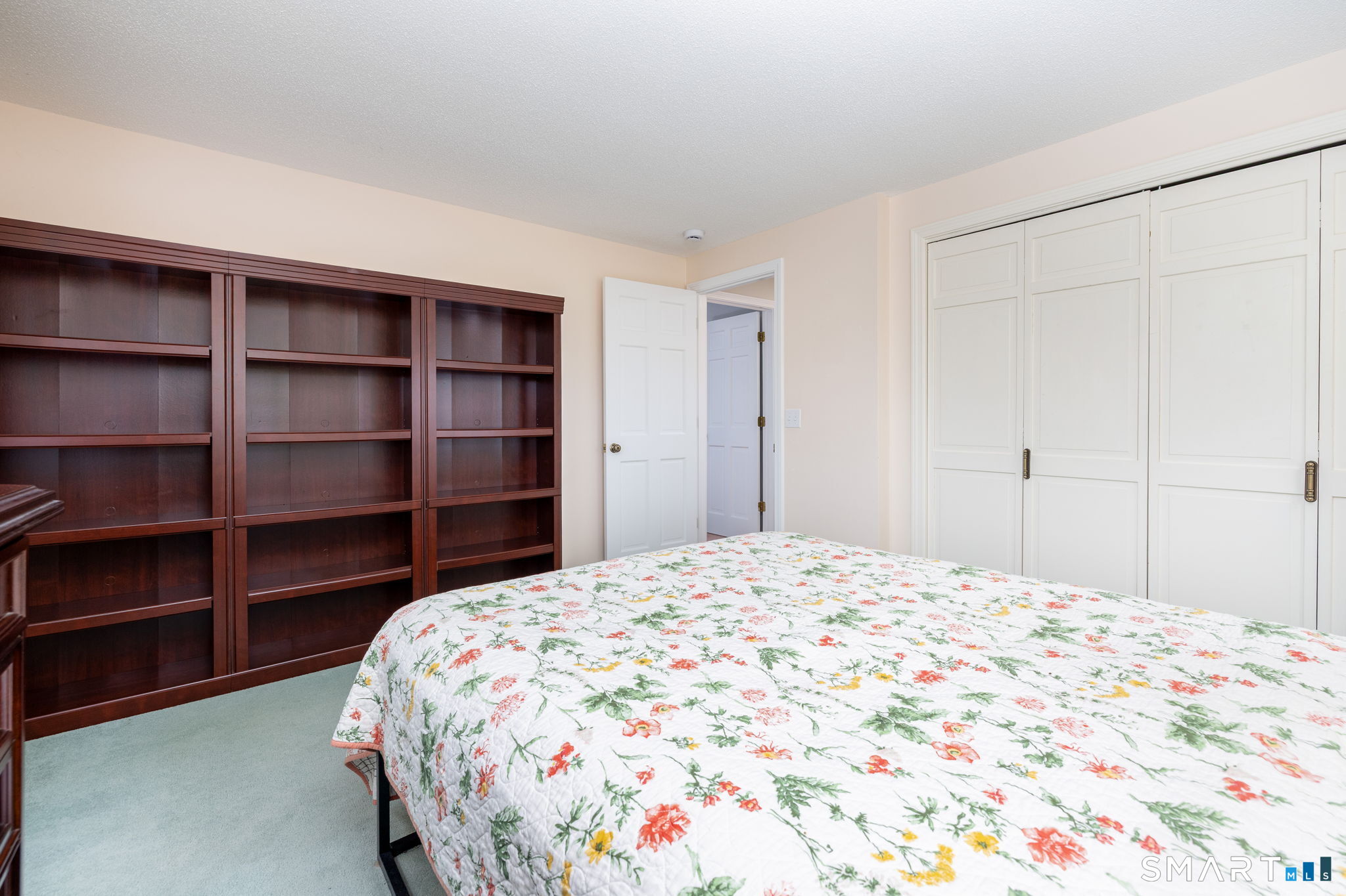 160 McIntosh Drive photo 20