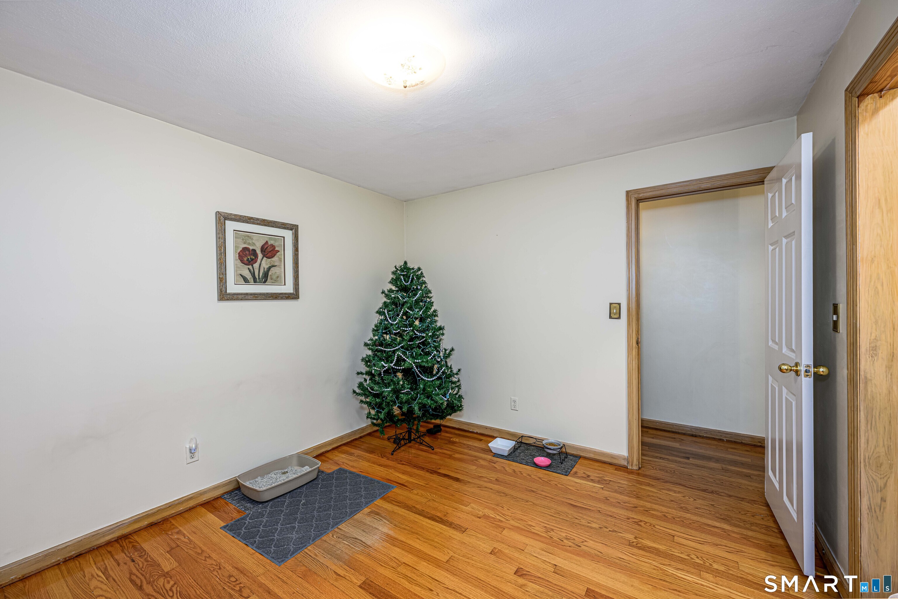 56 Sherman Terrace photo 25