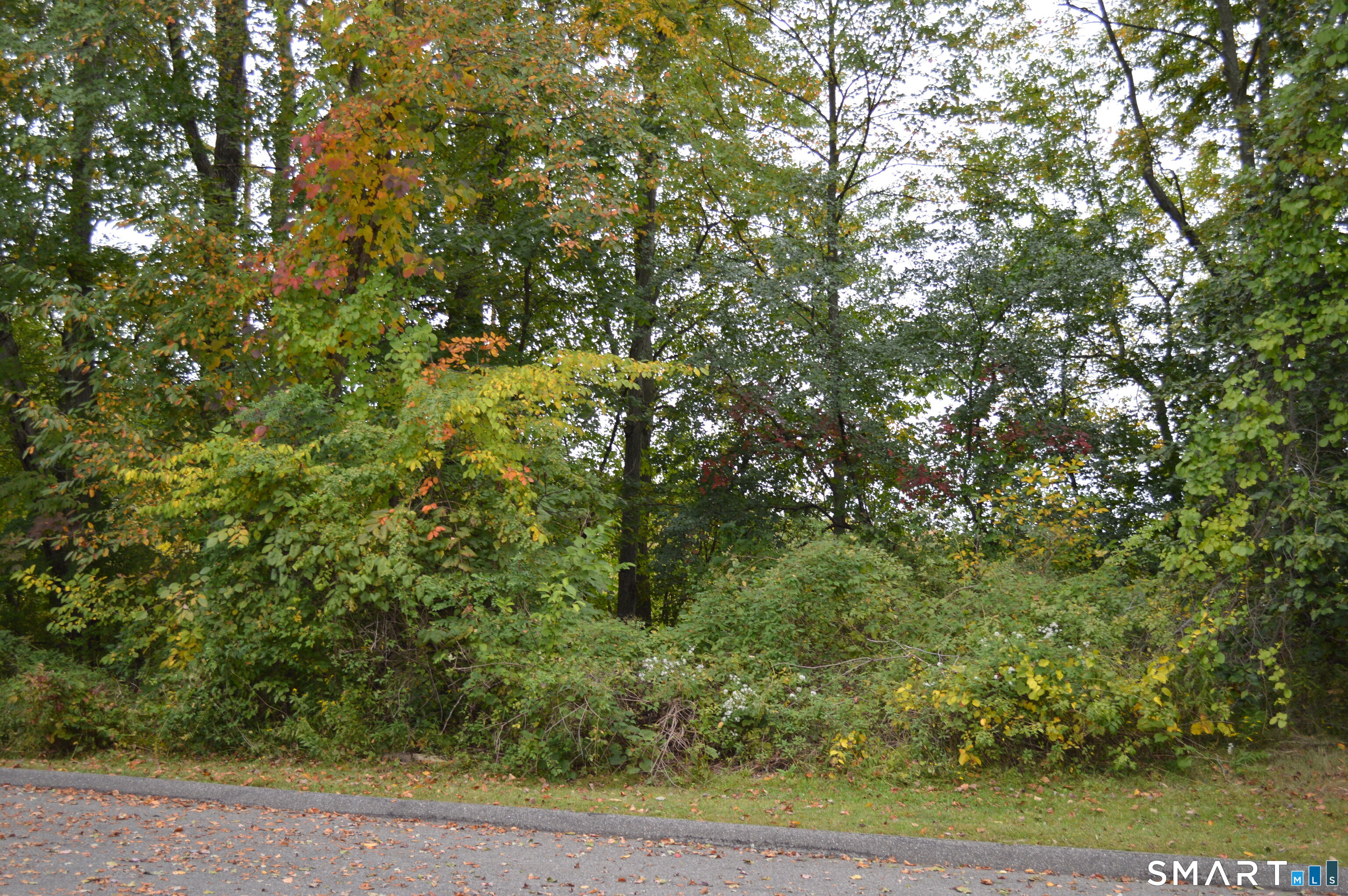 163 Cynthia Lane, #D5, Middletown, CT 06457