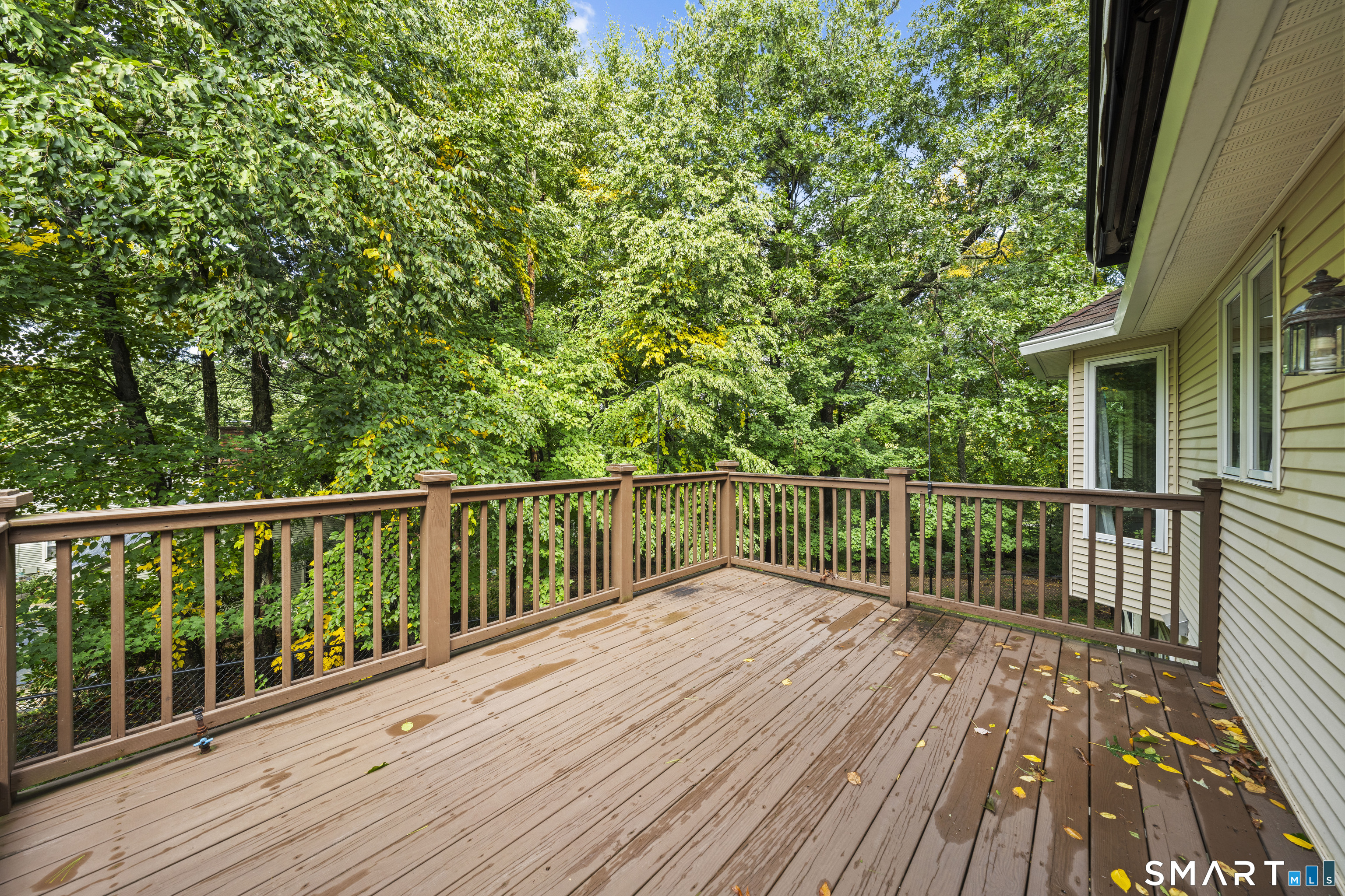147 Tonica Spring Trail photo 39