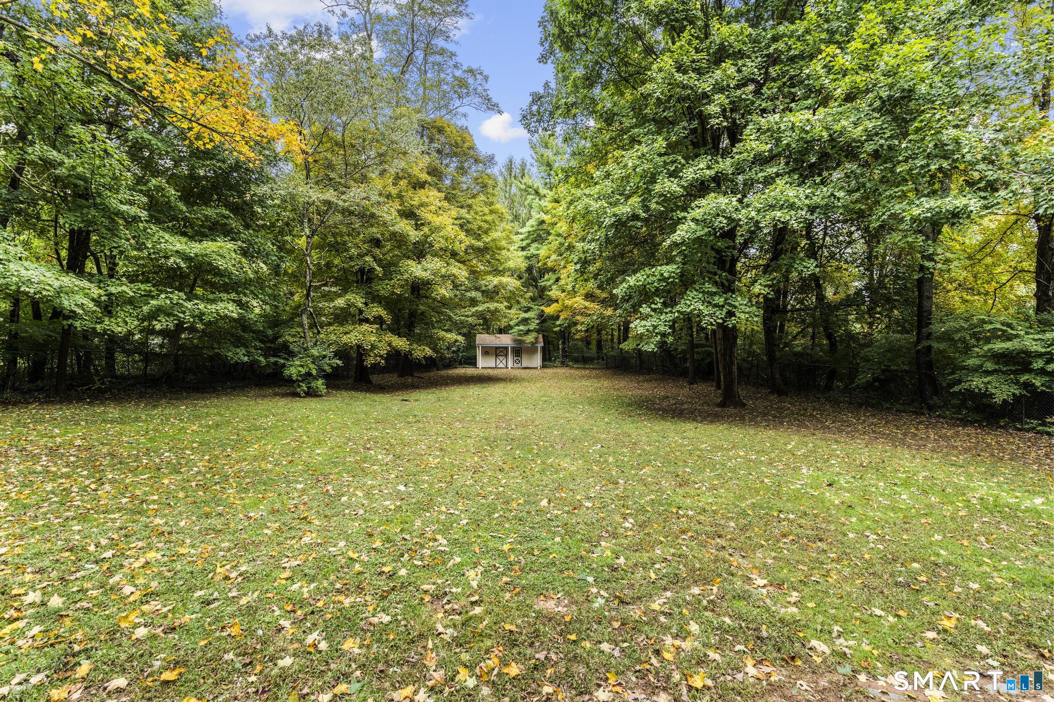 85 Brooksvale Avenue photo 40