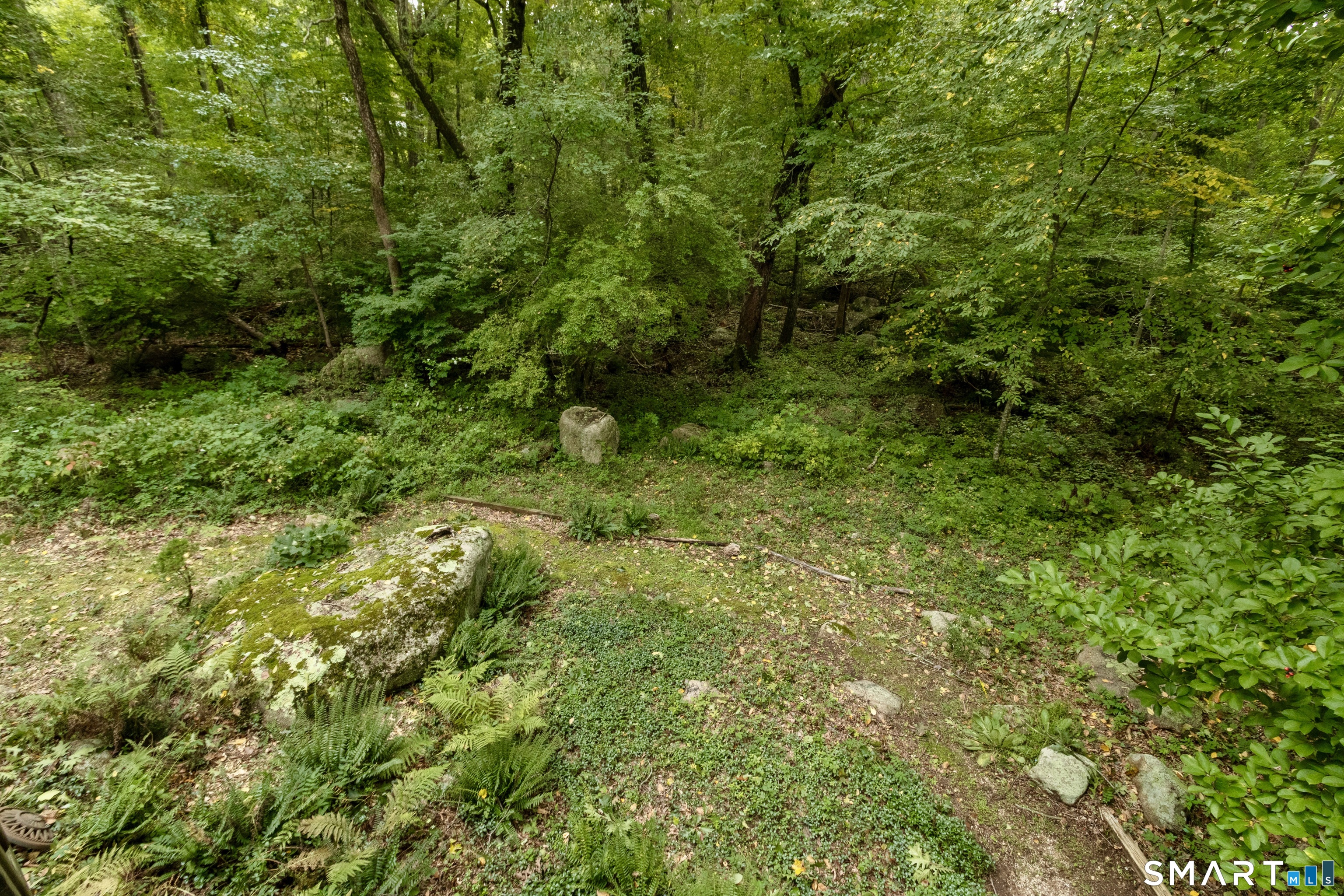 882 Moose Hill Road photo 31
