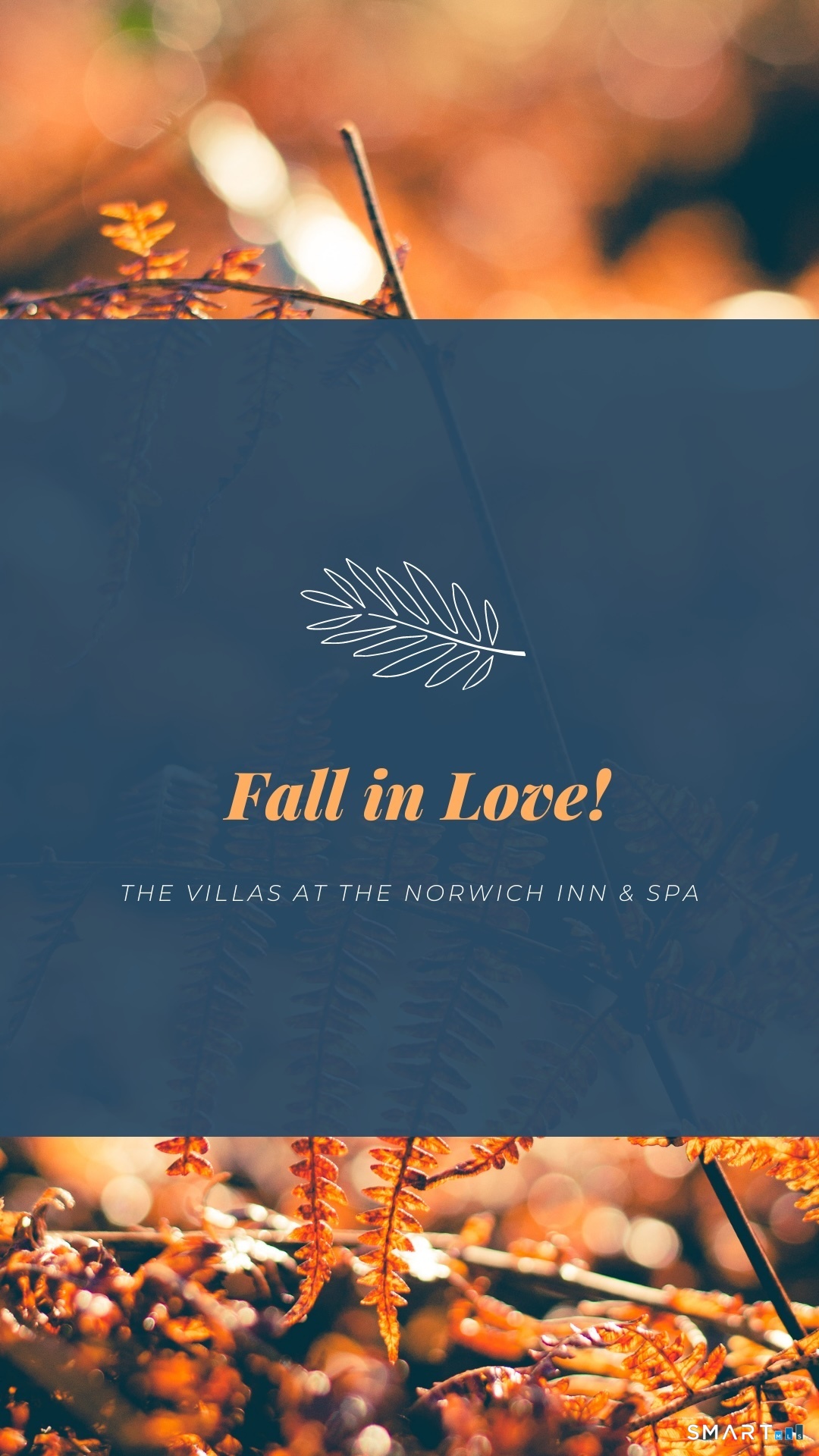 Autumn is here! Time to Enjoy! The Villas are amazing every season! Check out the Video
