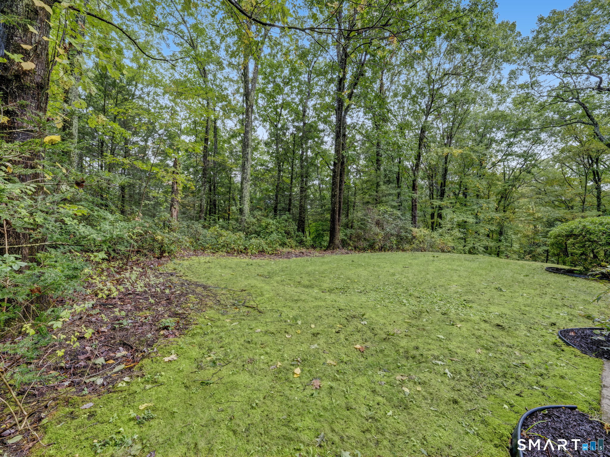 15 Birch Knoll Road photo 36