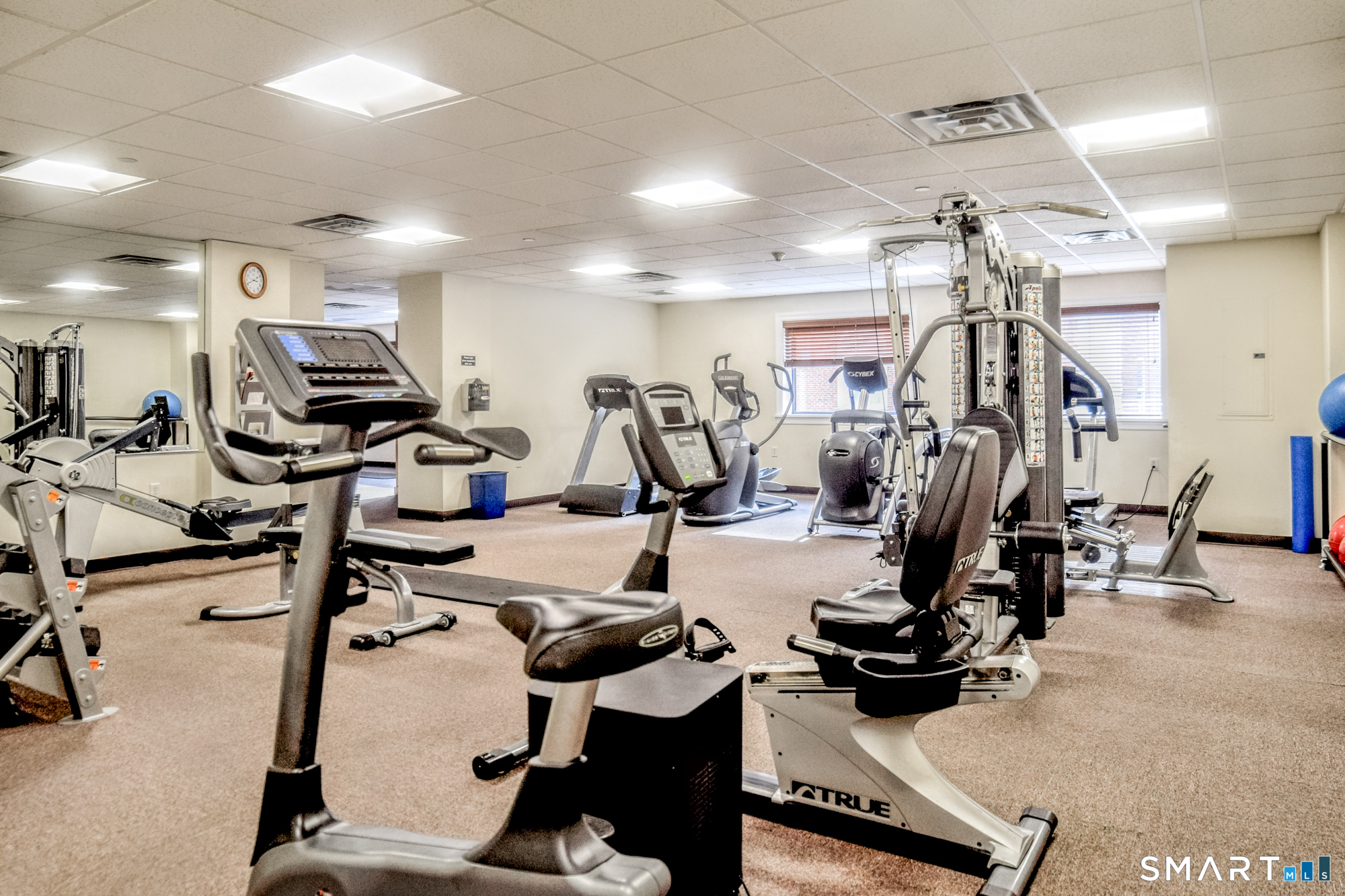 Gym.
