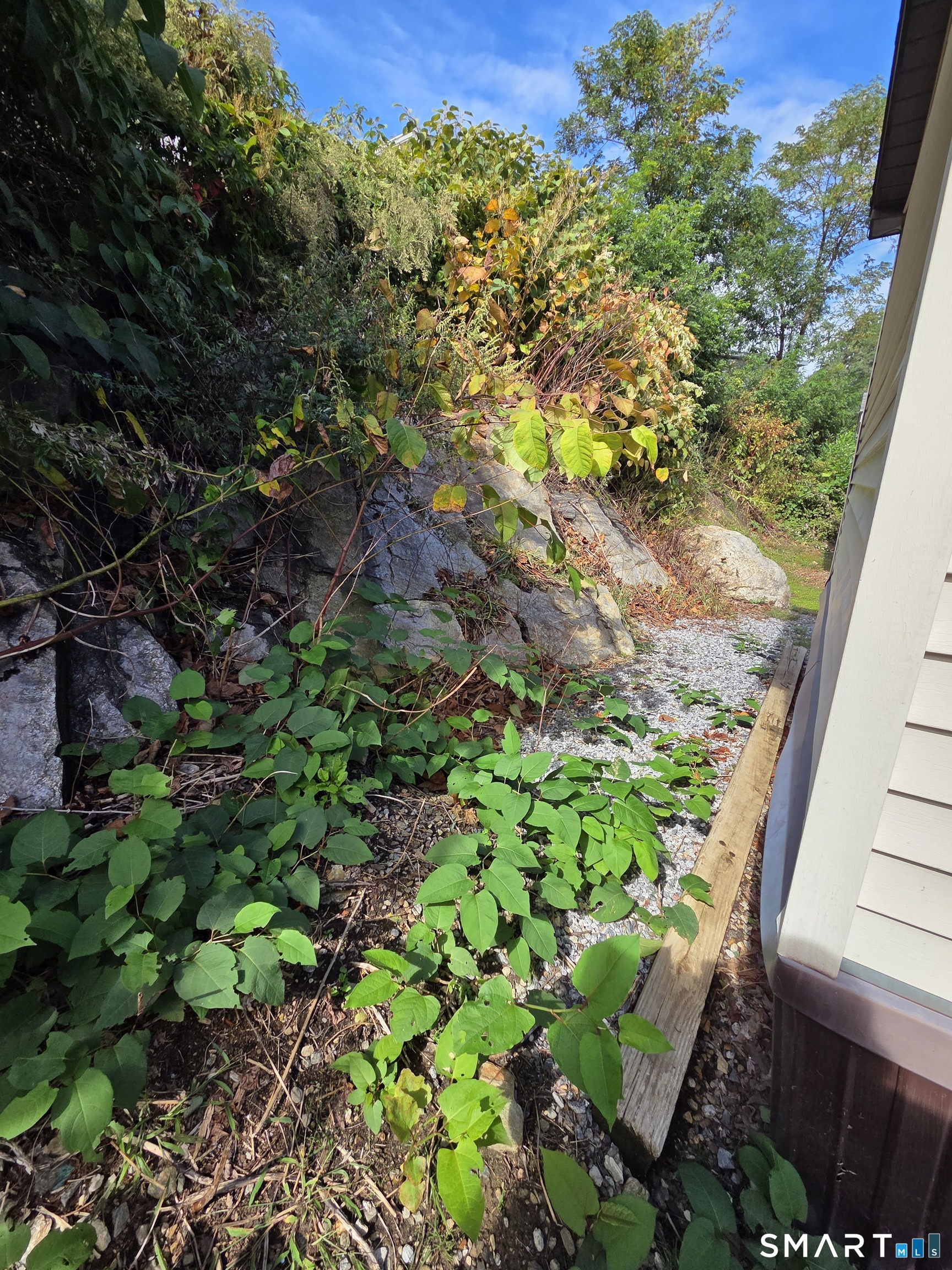 116 Woodland photo 18