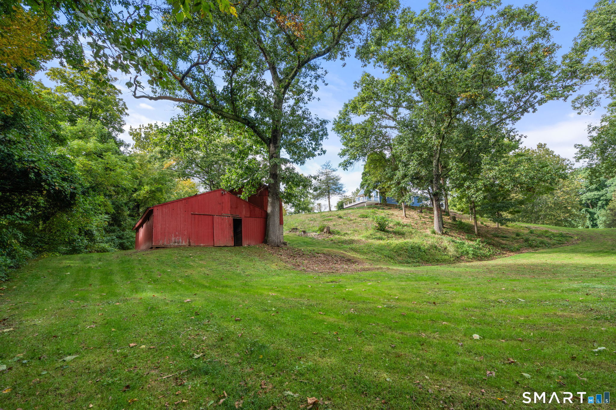 281 Rye Street photo 33