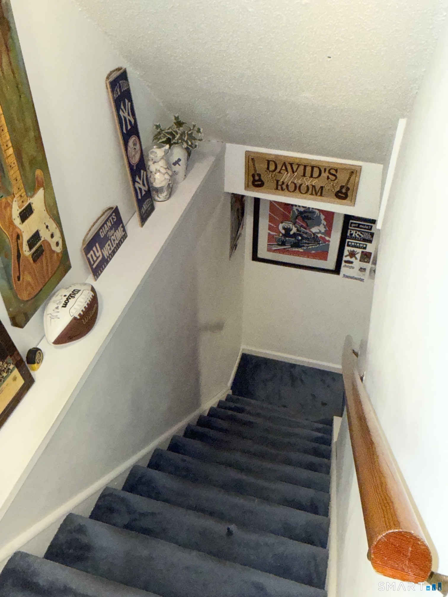 Lower Level Stairs
