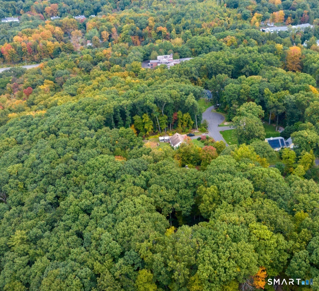 15 Birch Knoll Road photo 39