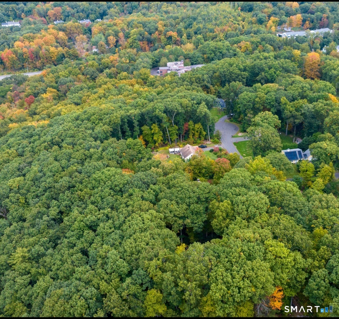 Photo 40 of Single family home for sale at 15 Birch Knoll Rd, Canton, CT 06019 | MLS# 24209438 | Listing updated on 2026-10-07
