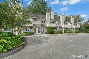 255 Willow, Unit 255, New Milford
