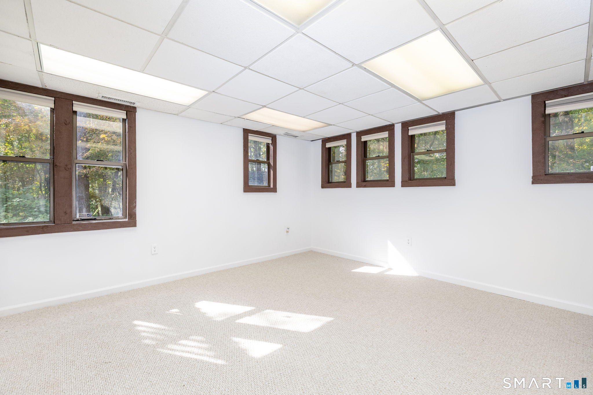 56 Shelbourne Drive photo 29