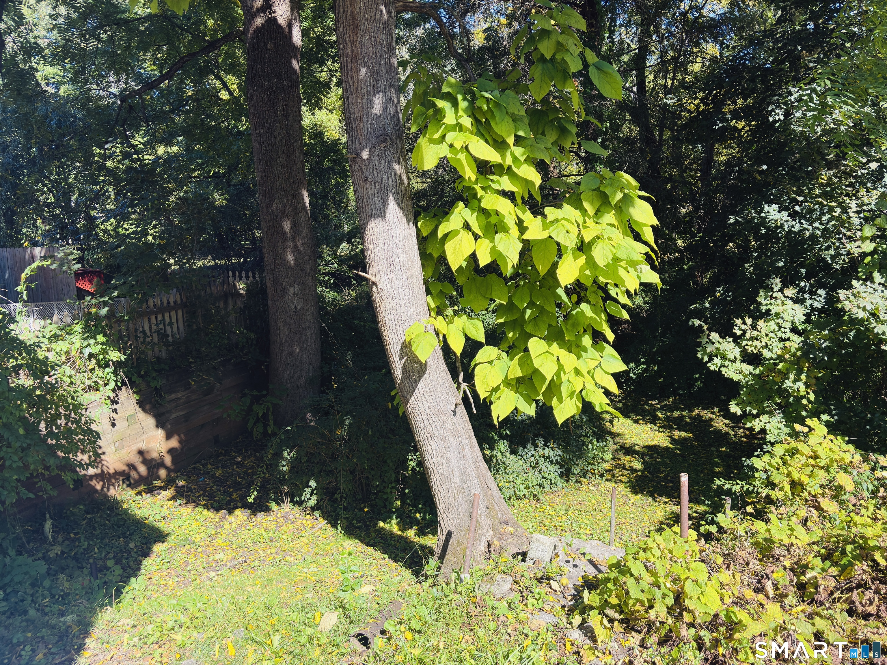 72 Chestnut Street photo 19