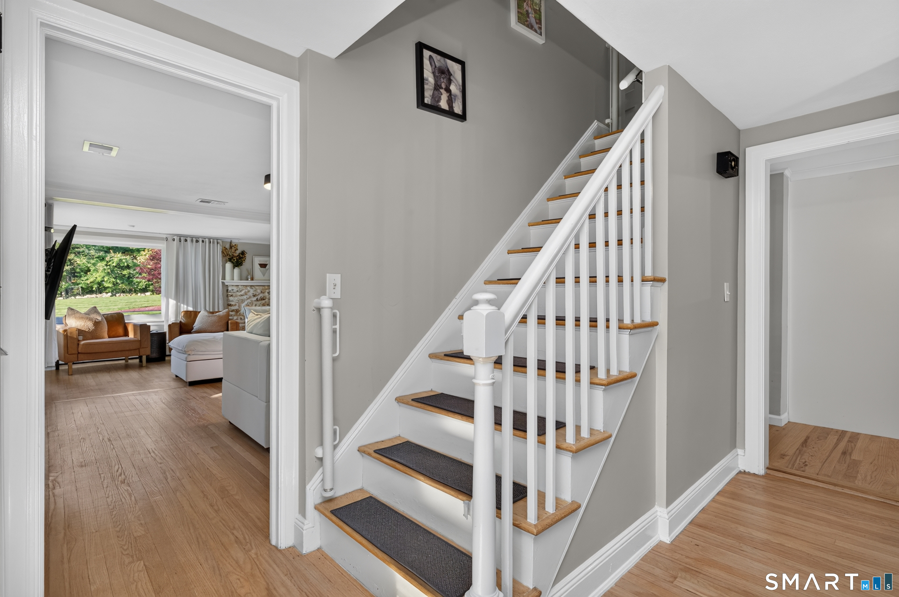 39 Fern Street photo 26