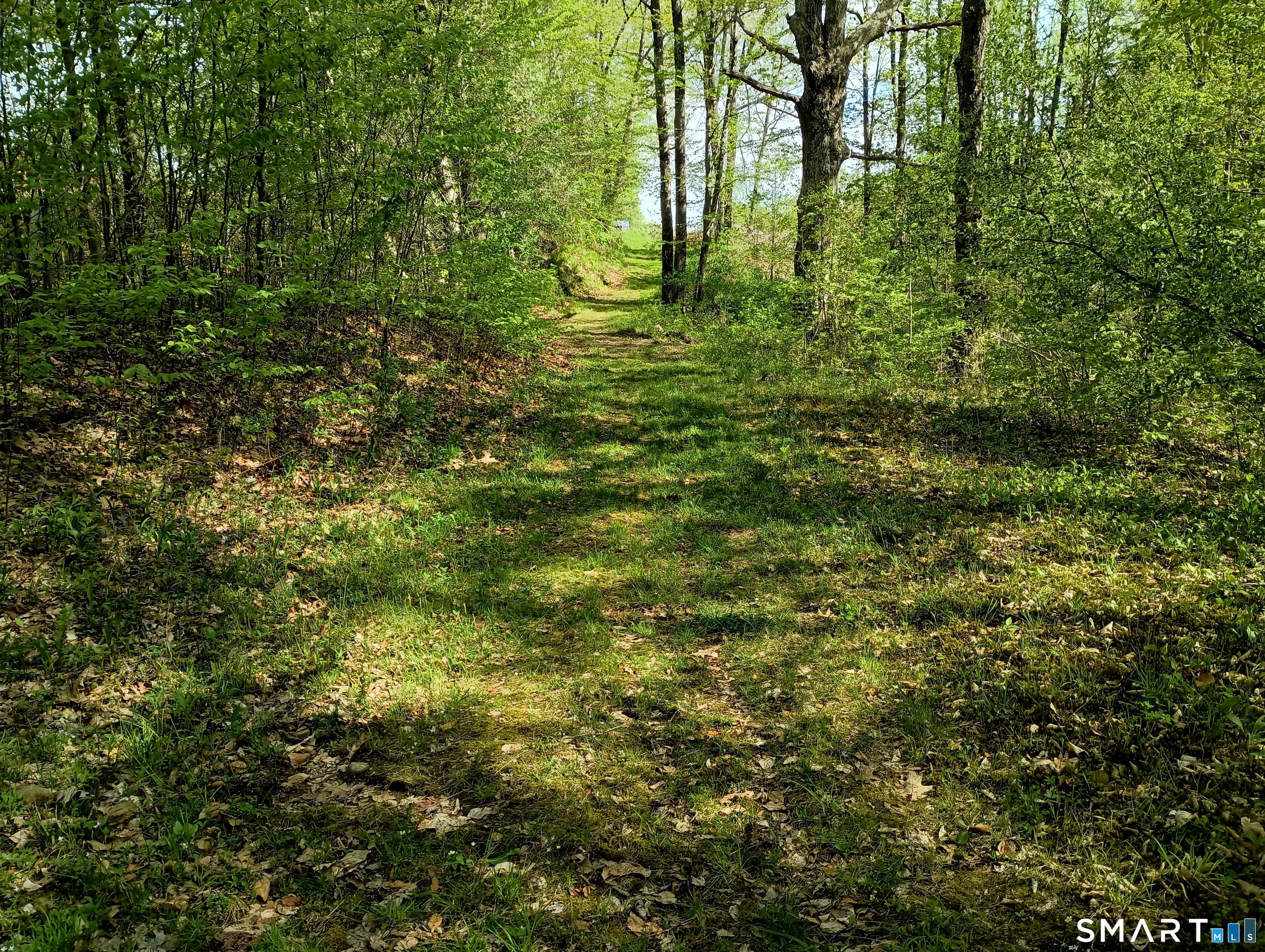 2581 Litchfield Road photo 23
