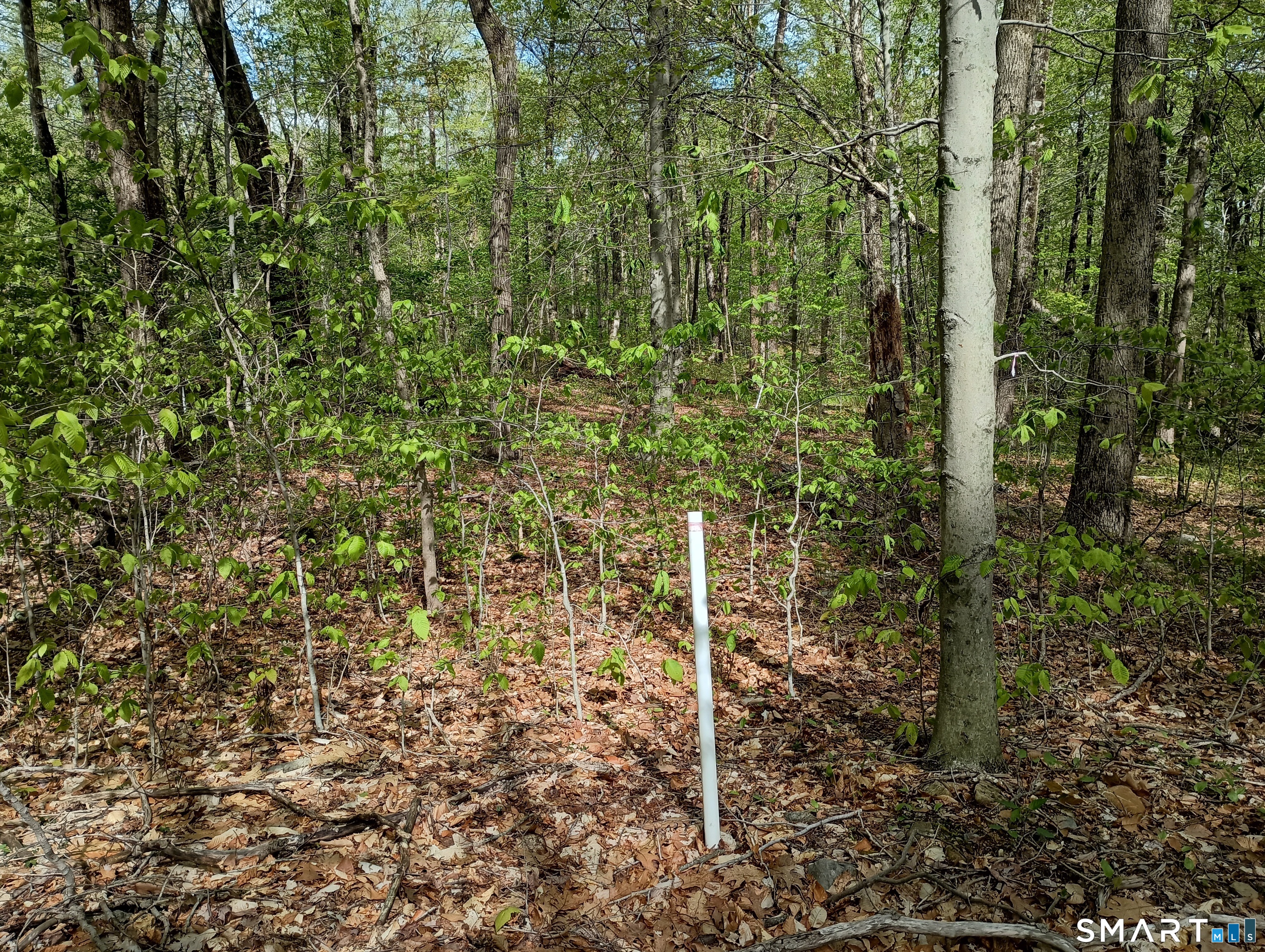 2581 Litchfield Road photo 25