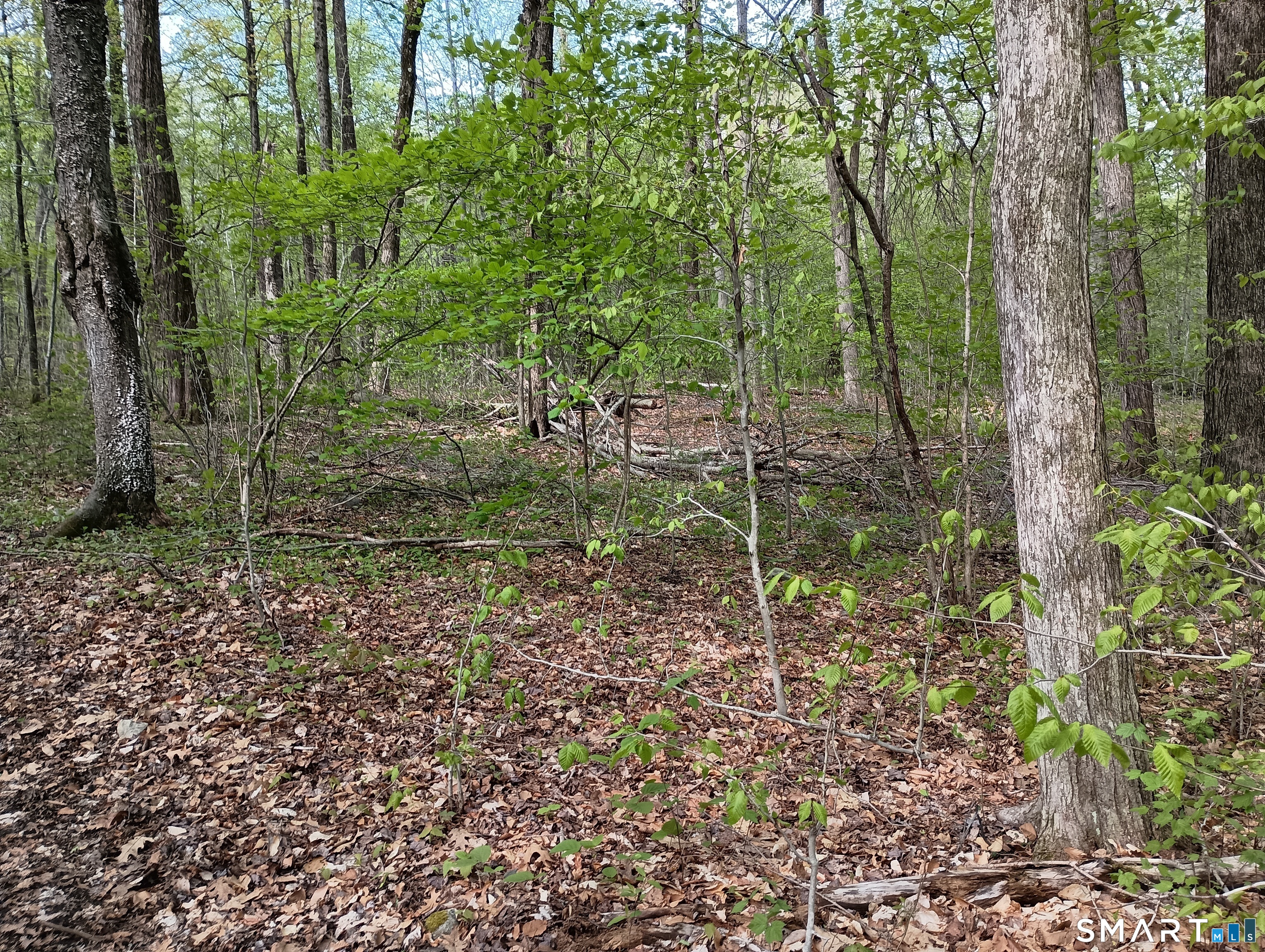 2581 Litchfield Road photo 27