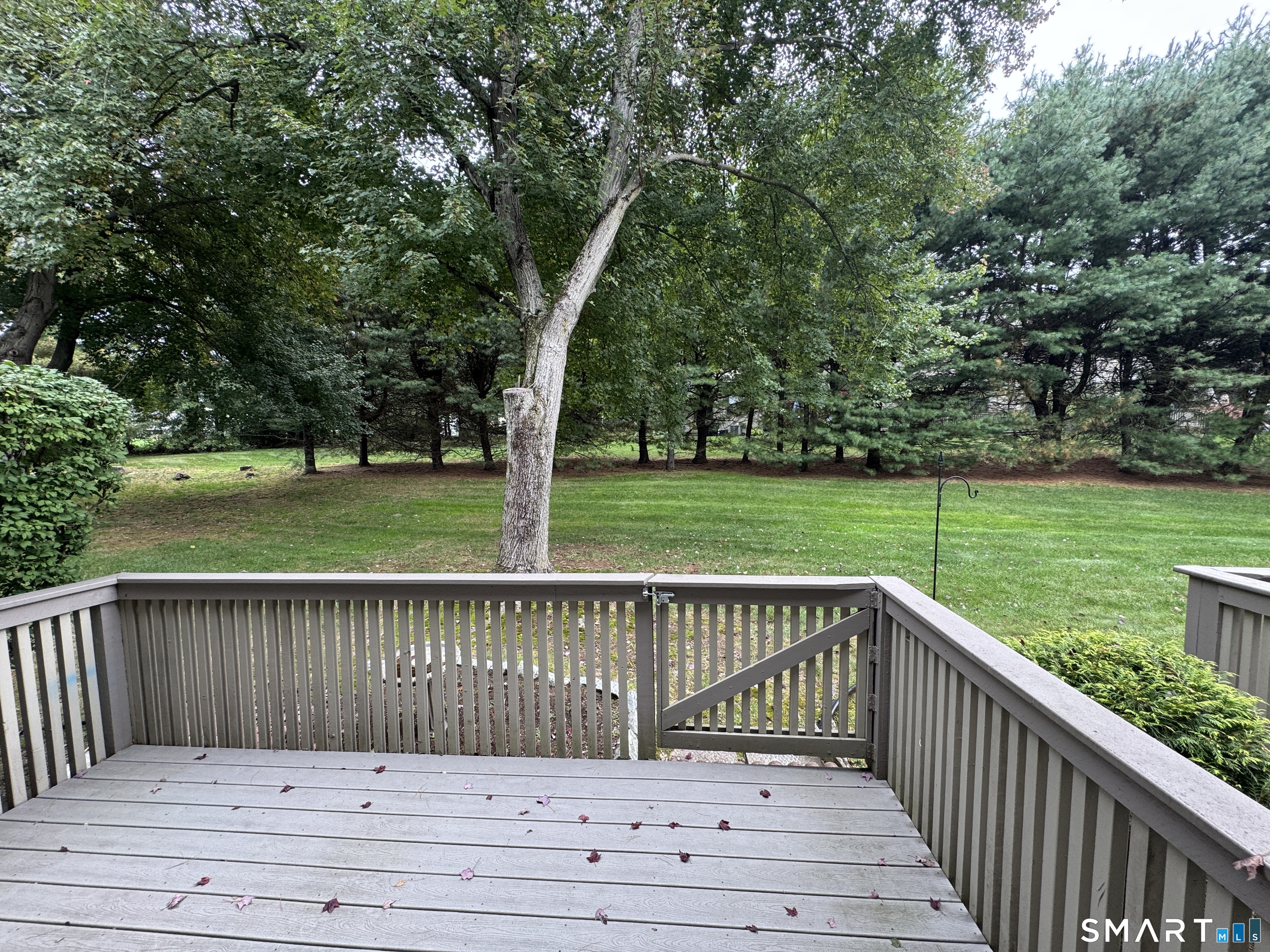92 Metacomet Drive photo 18