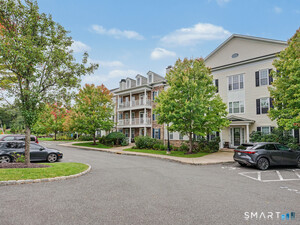 1 Rivington, Unit 306, Danbury