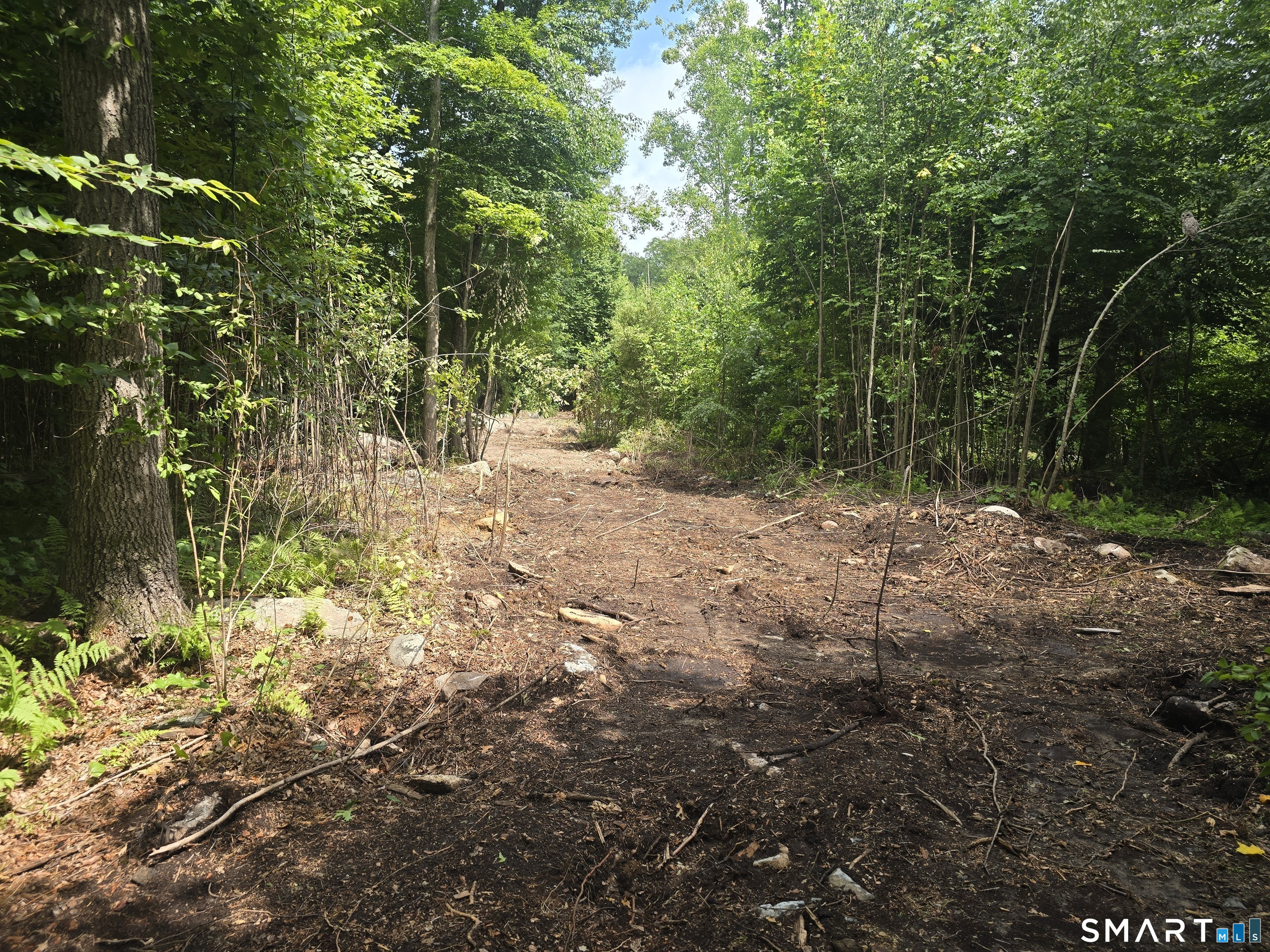 Photo 1 of Land for sale at 0 Al Harvey Rd, Stonington, CT 06378 | MLS# 24211912 | Listing updated on 2026-10-05
