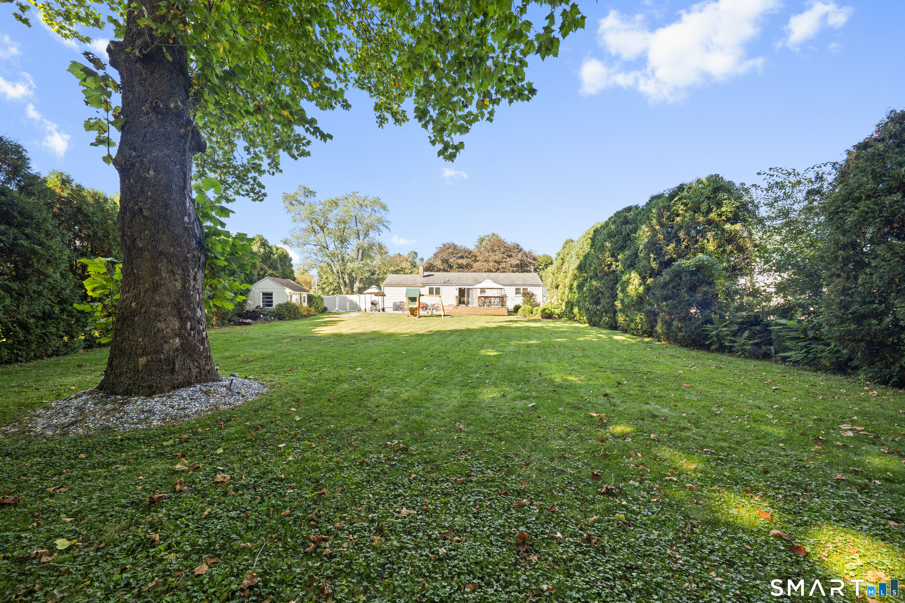 4 Whitewood Street photo 36