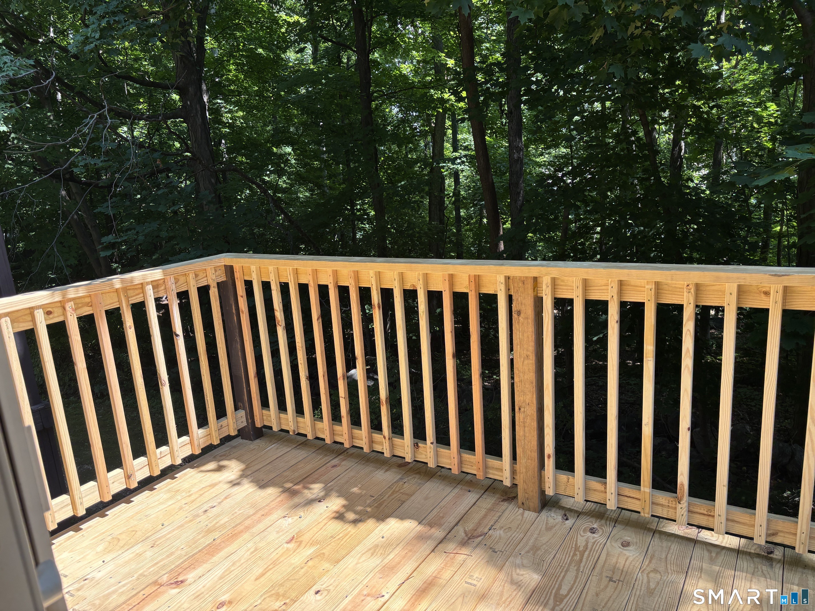 NEW DECK 2026