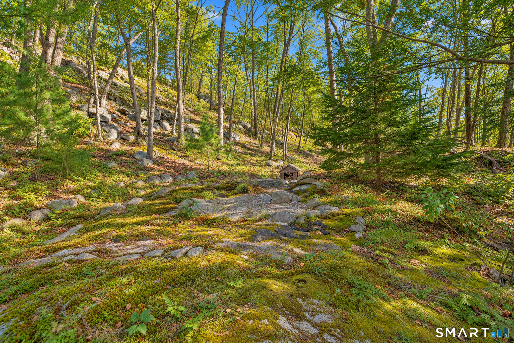 10 Old Waterbury Road, Middlebury, CT 06762