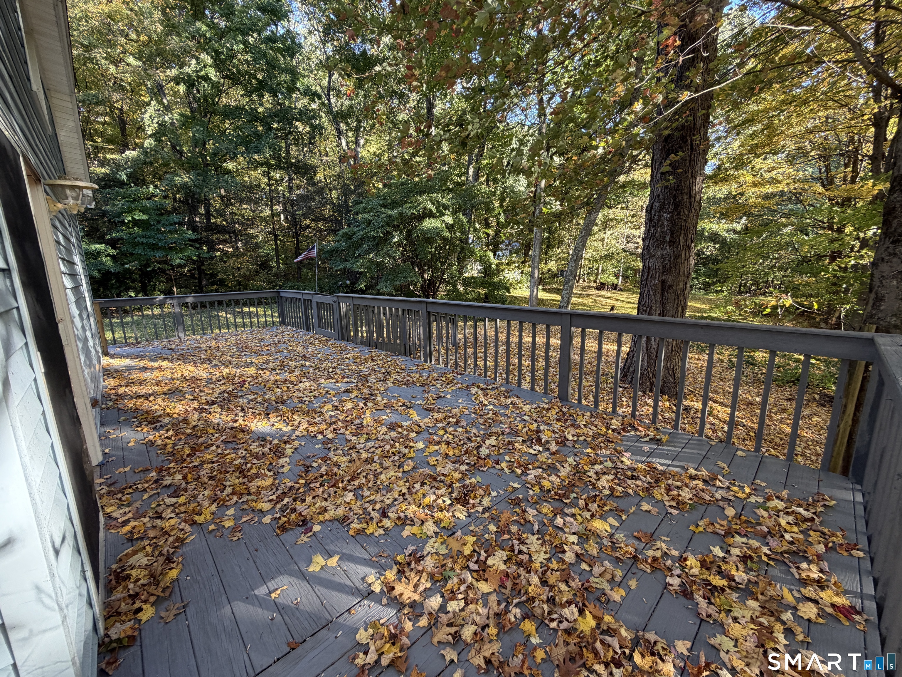 145 Nashville Road photo 27
