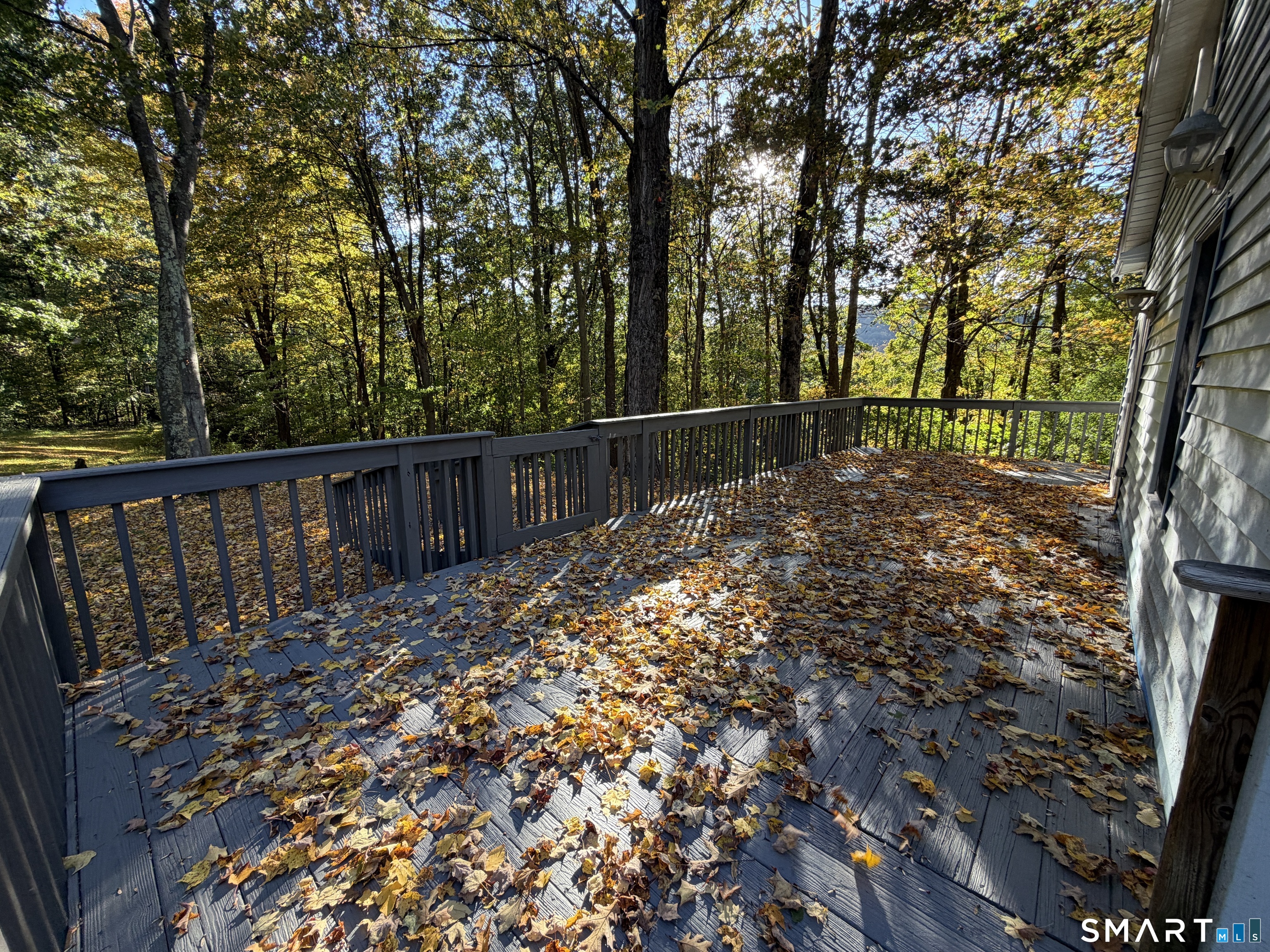 145 Nashville Road photo 29