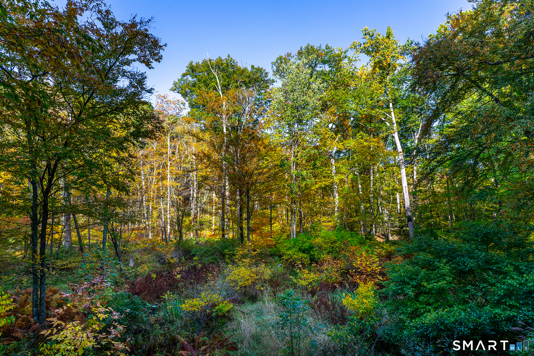 118 Green Pond photo 17