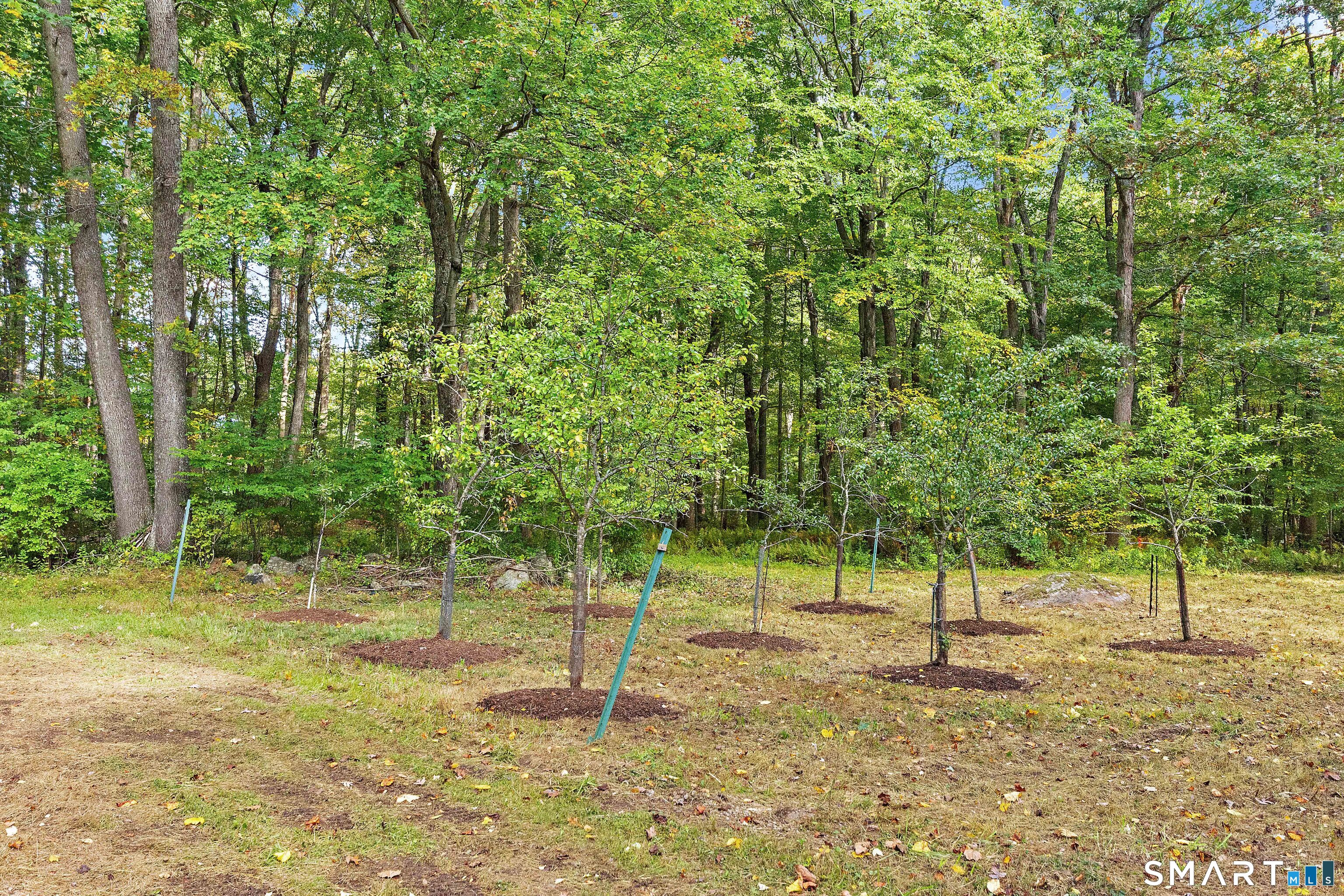 540 Clubhouse Road, Lebanon, CT 06249
