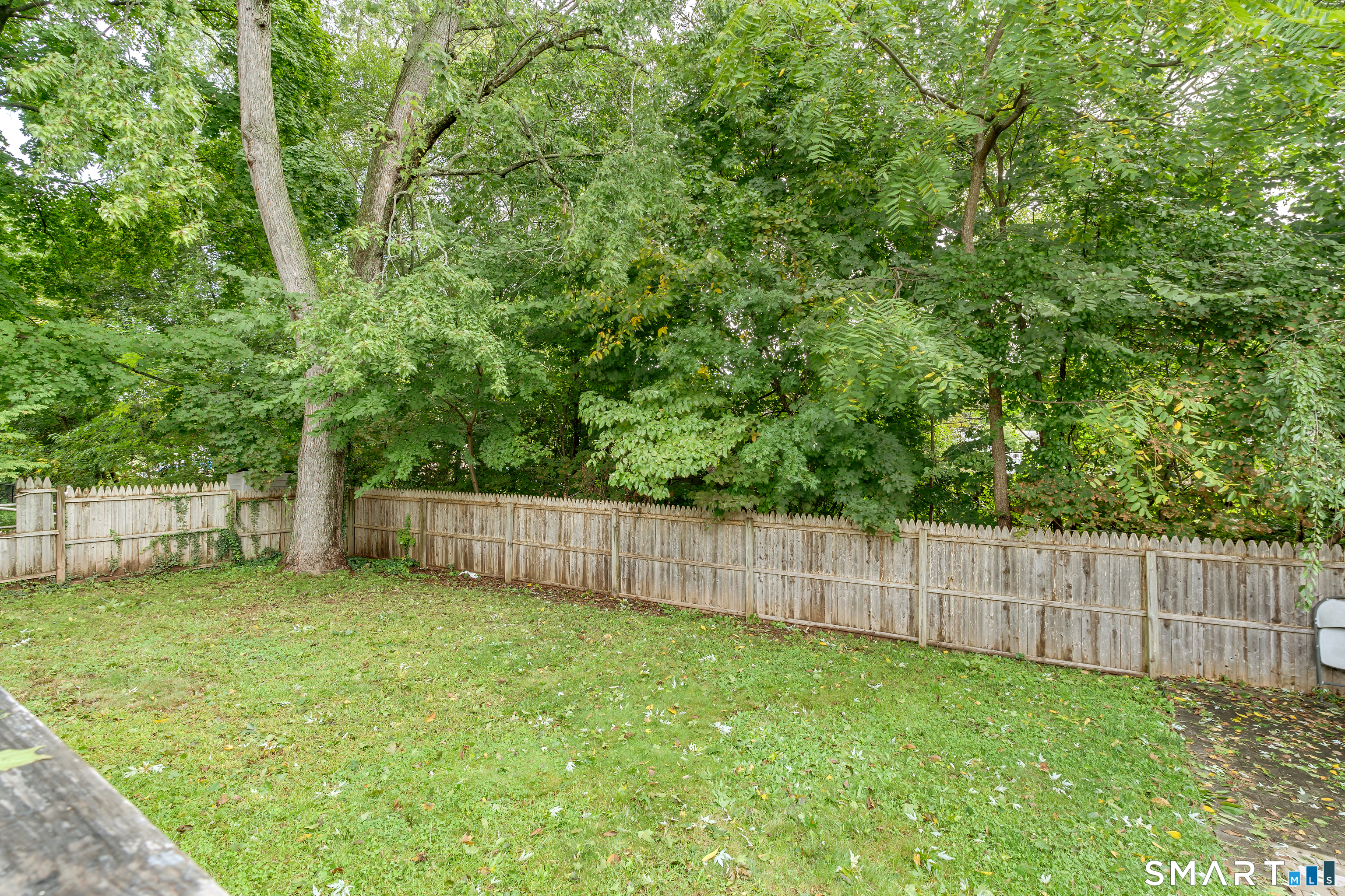 25 White Drive photo 37