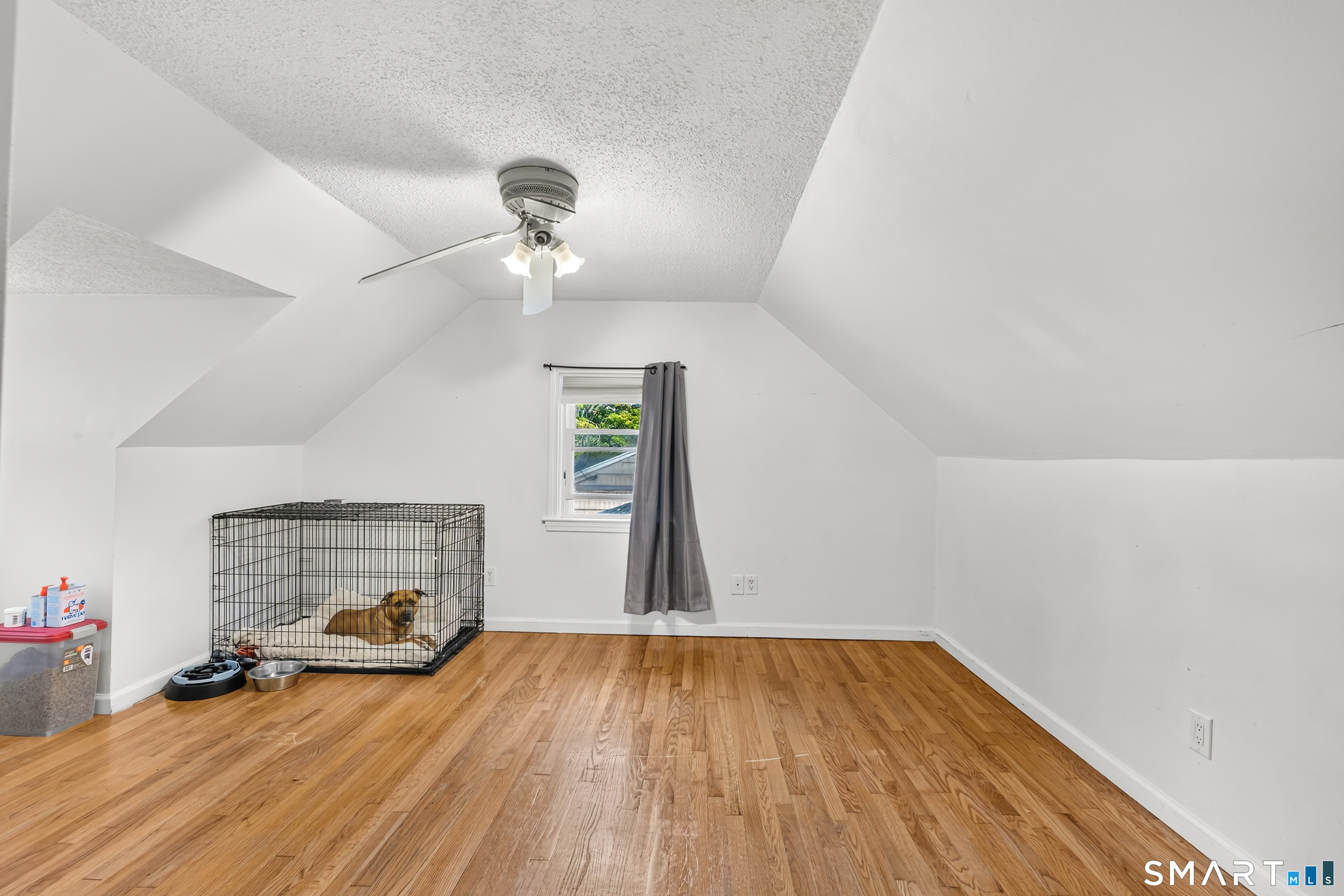 25 White Drive photo 21