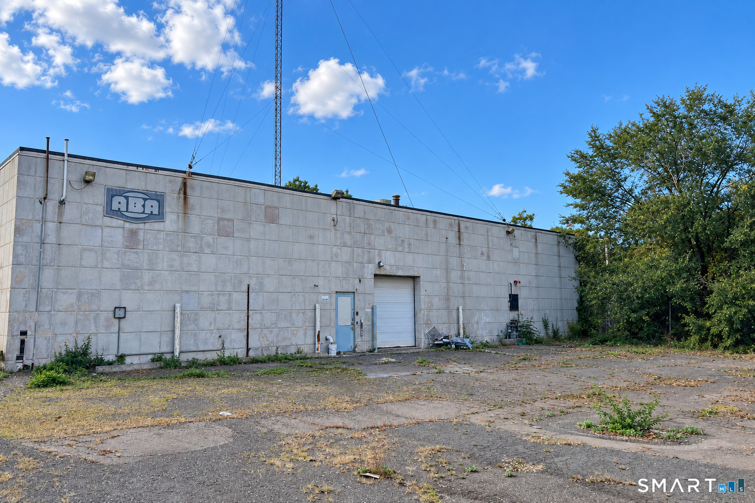 203 Wallace Street photo 18