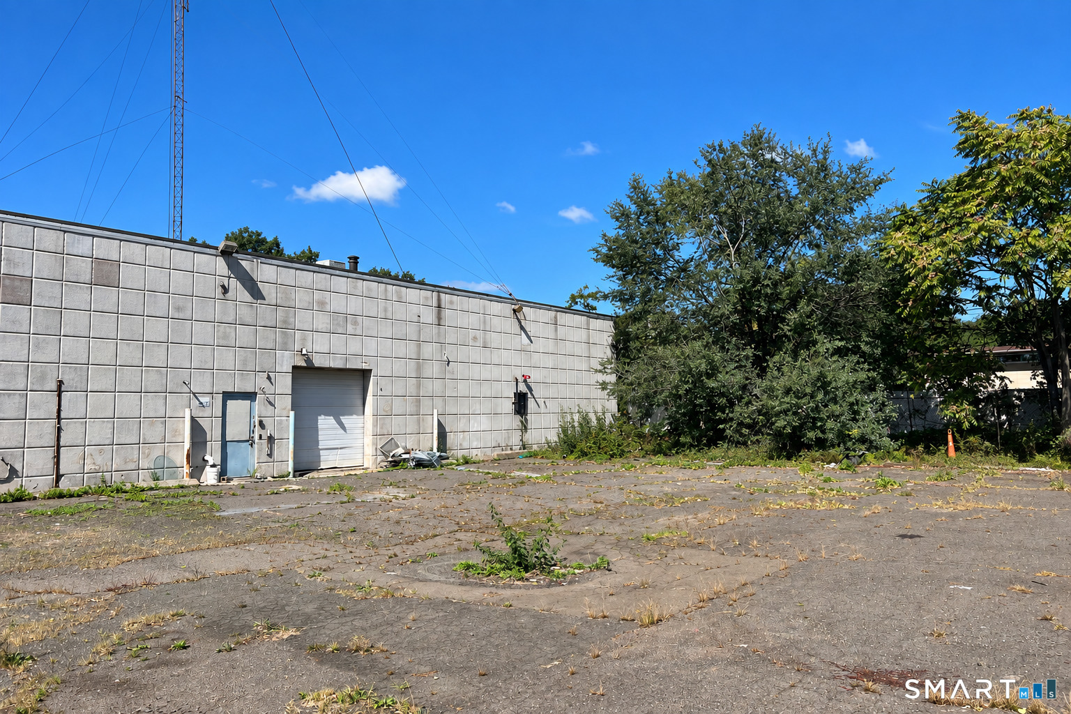 203 Wallace Street photo 6