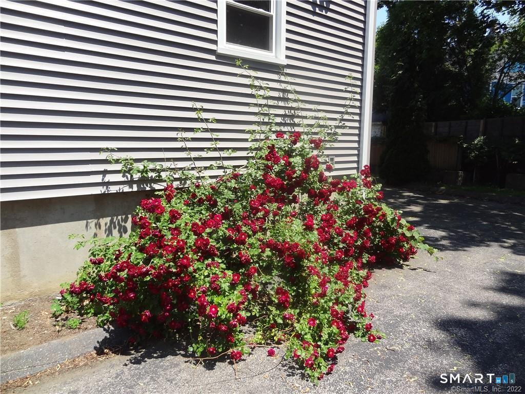 64 Nash Lane photo 15