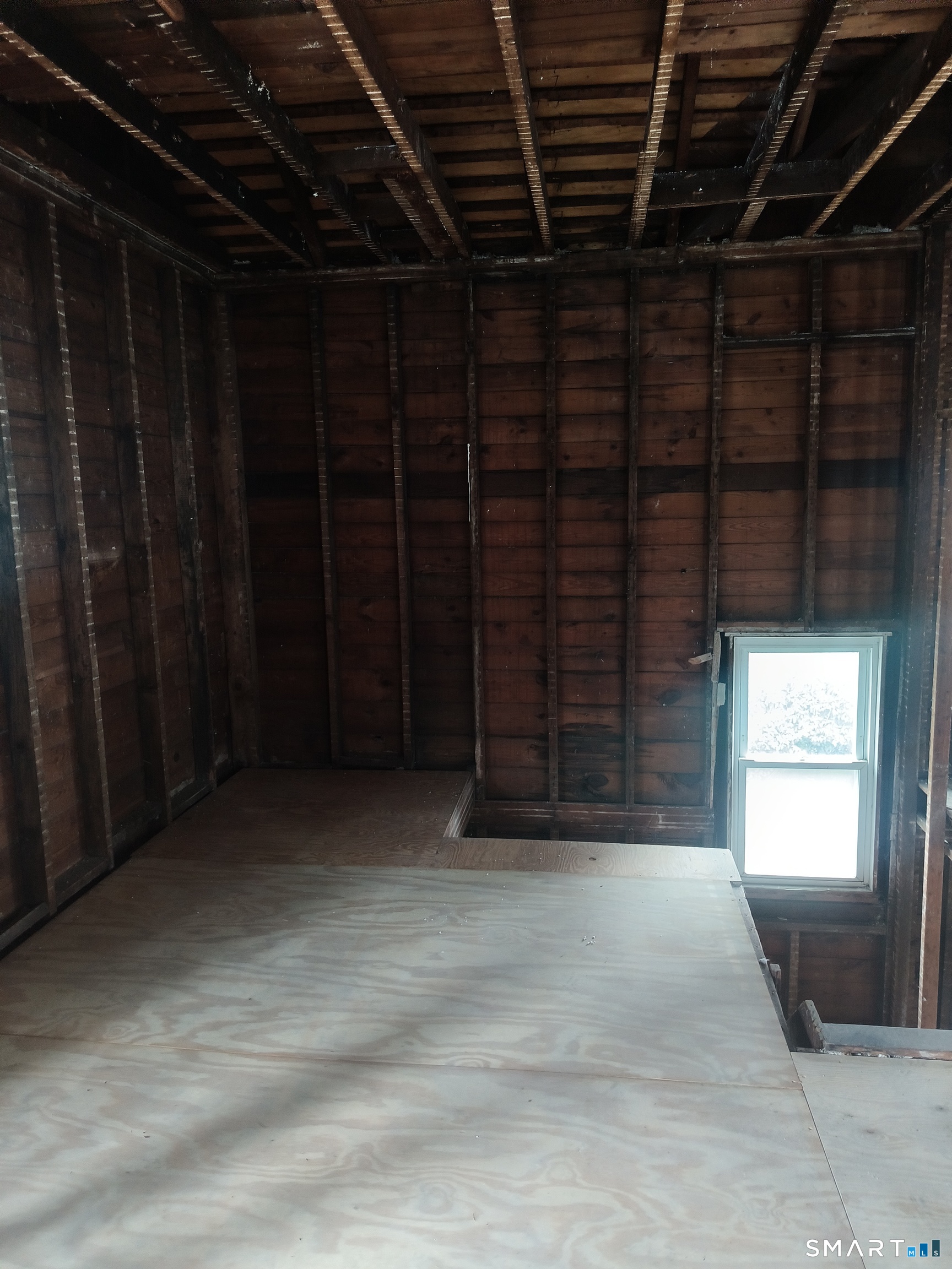 12 Windell Place photo 19